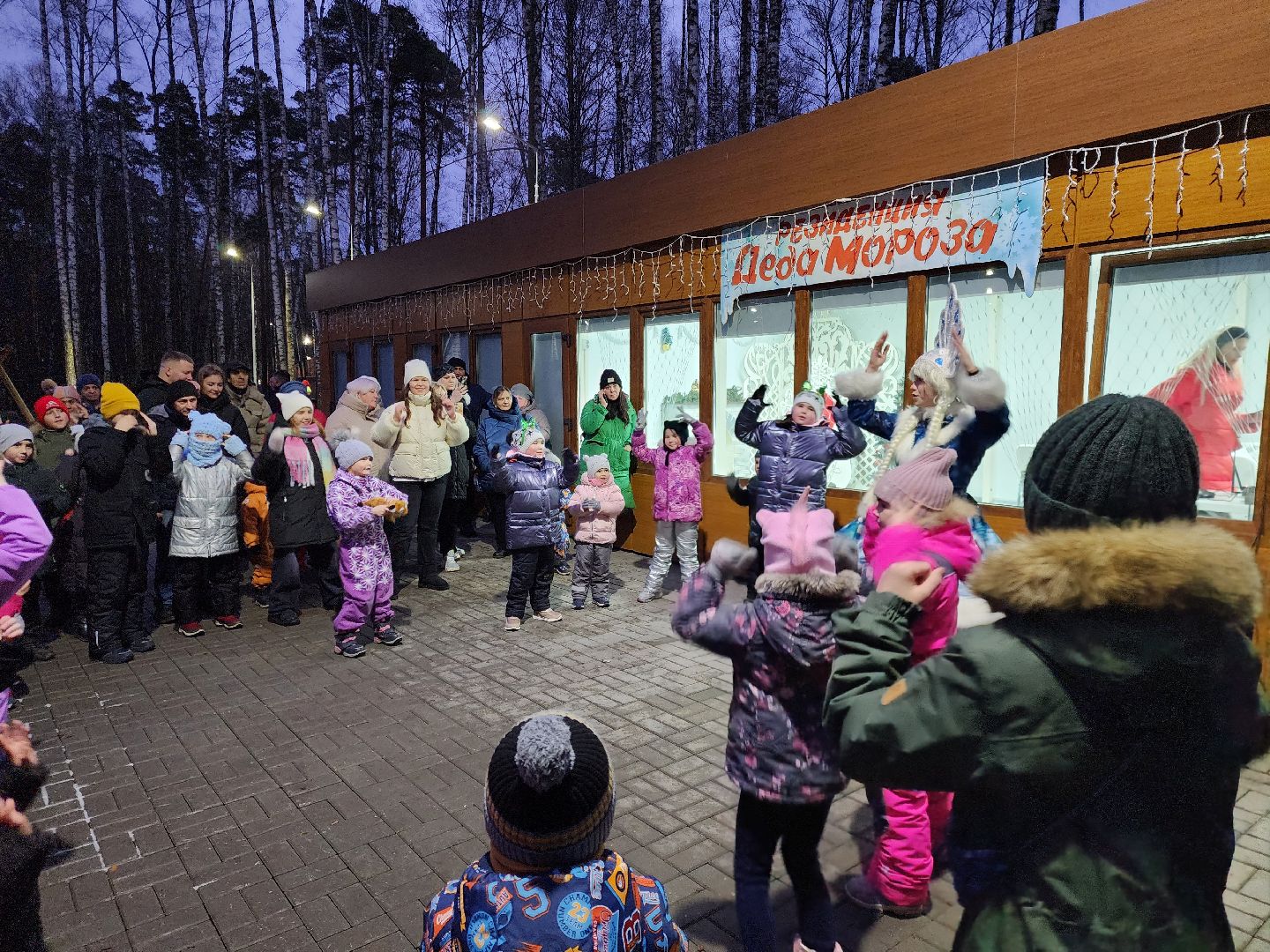ногинск, жители, общество, дети, снегурочка, резиденция деда мороза, письмо деду морозу, вертикалки, зима в подмосковье,