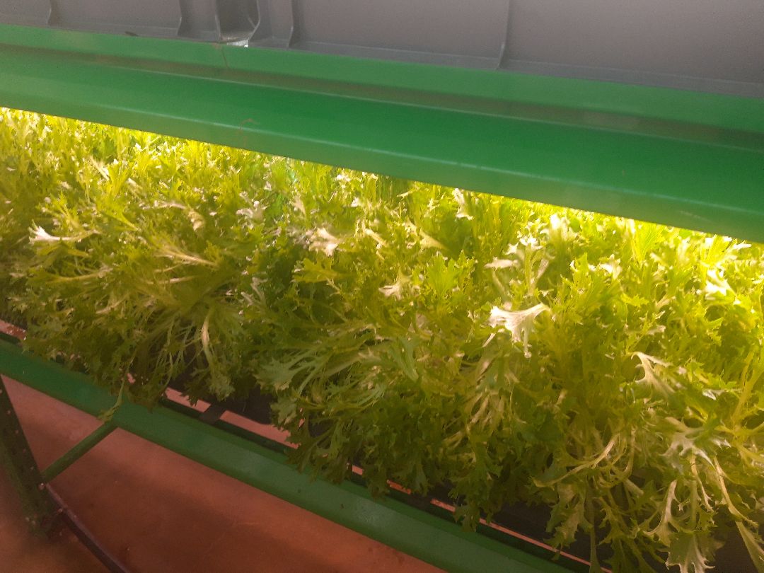 Пущкино, инновации, эксклюзив, экономика