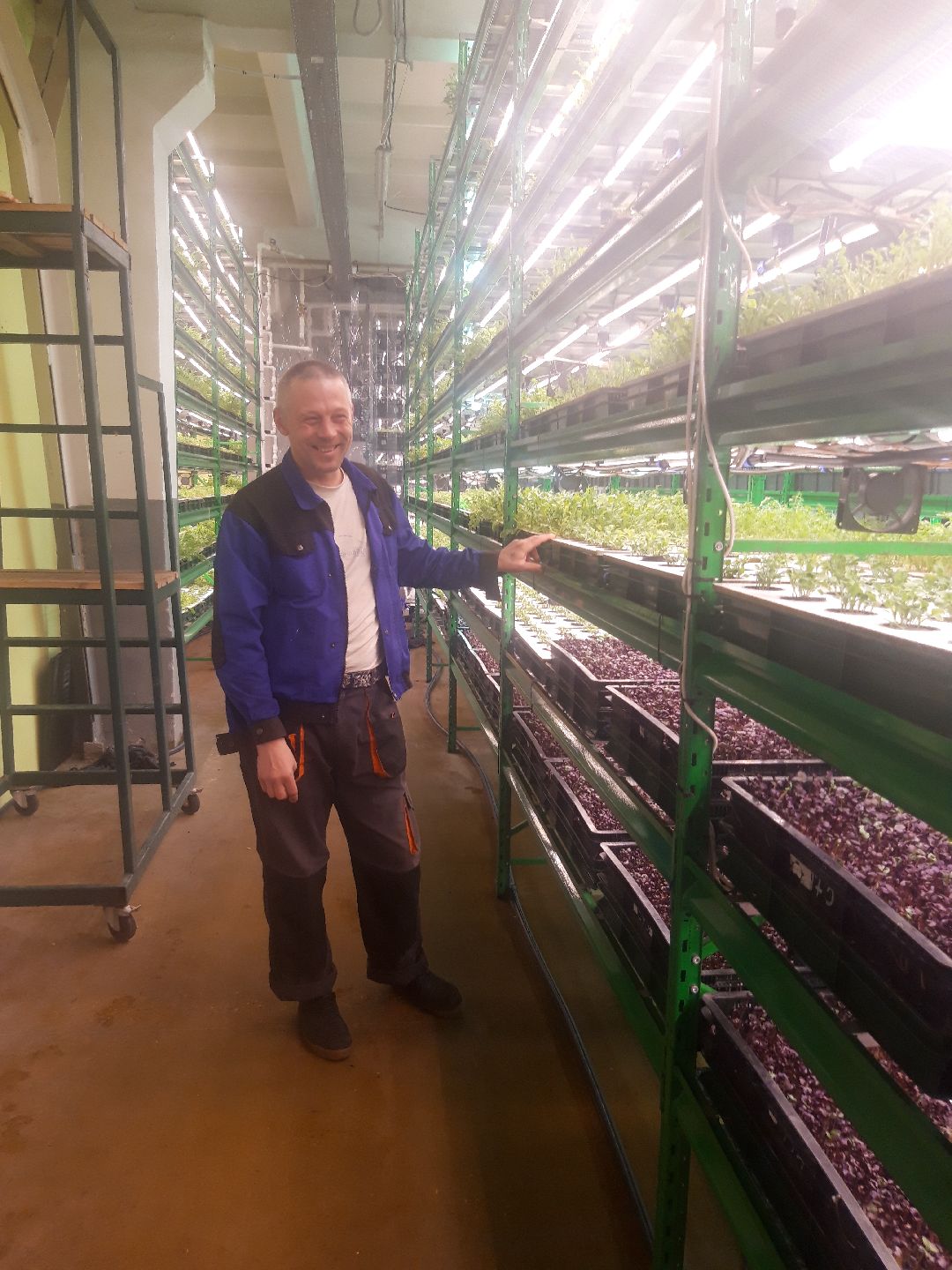 Пущкино, инновации, эксклюзив, экономика