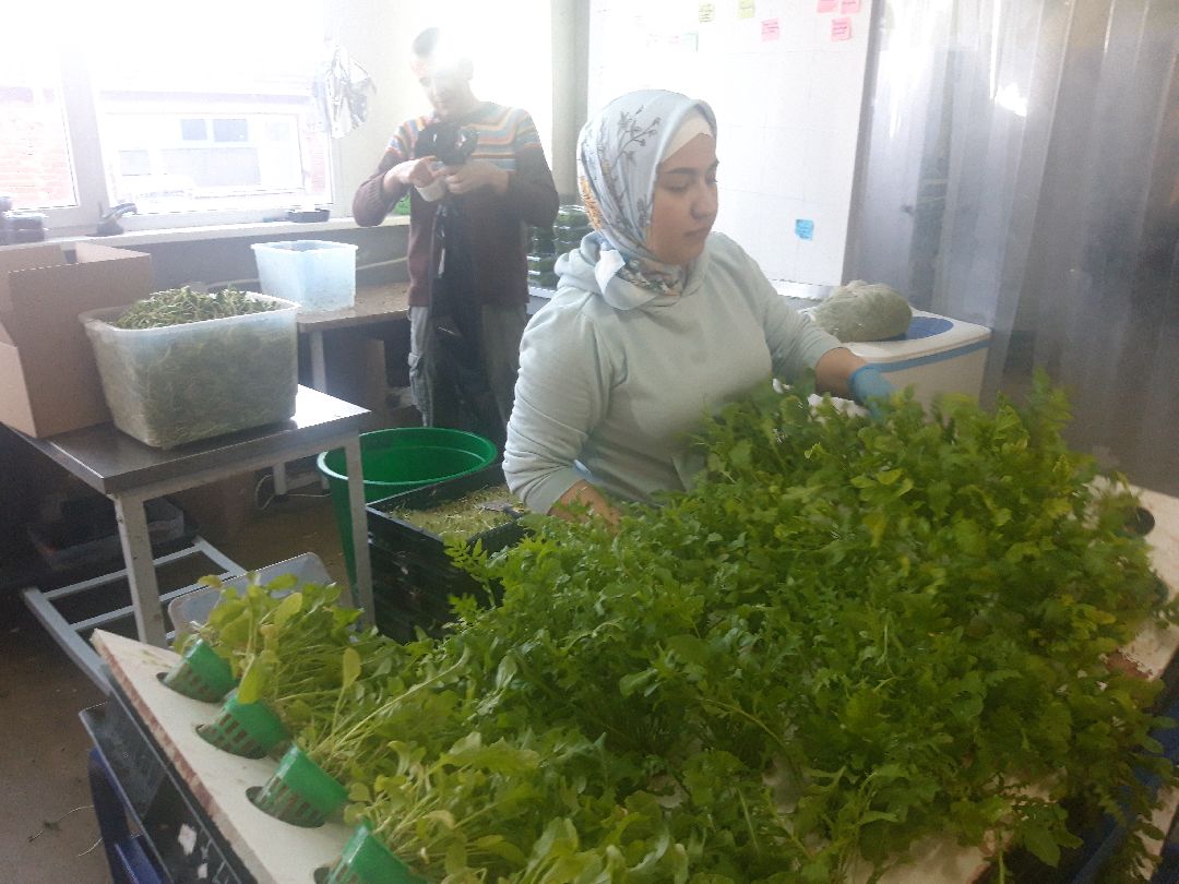 Пущкино, инновации, эксклюзив, экономика