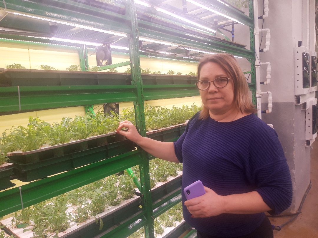 Пущкино, инновации, эксклюзив, экономика