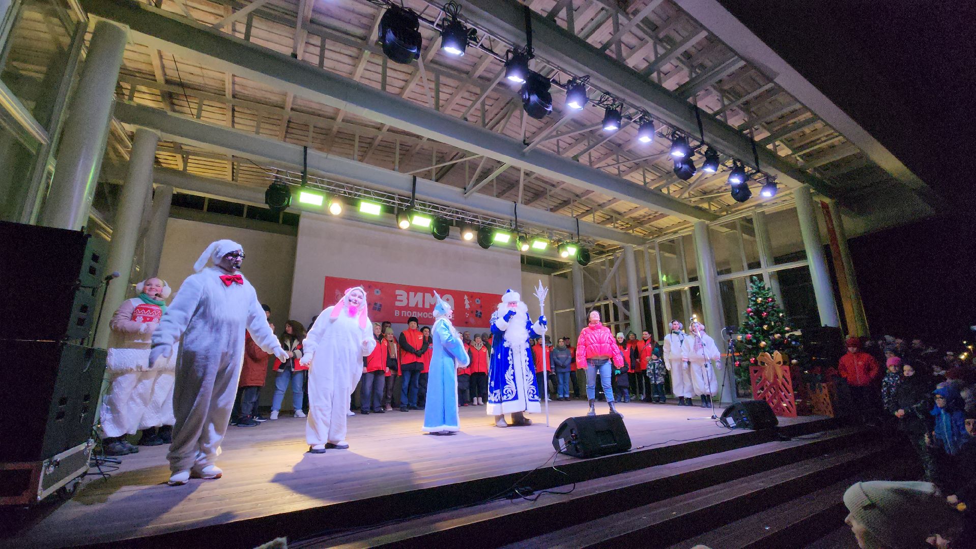 Зима, дед мороз и снегурочка, Лобня, Елка, Зима в Подмосковье, вертикалки,