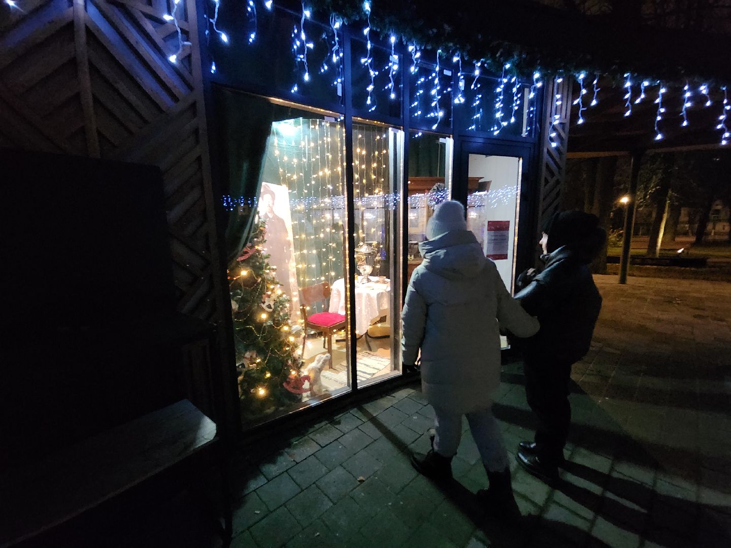 серпухов, подмосковье, зима в подмосковье, парк имени олега степанова, открытие зимнего сезона, вертикалки,