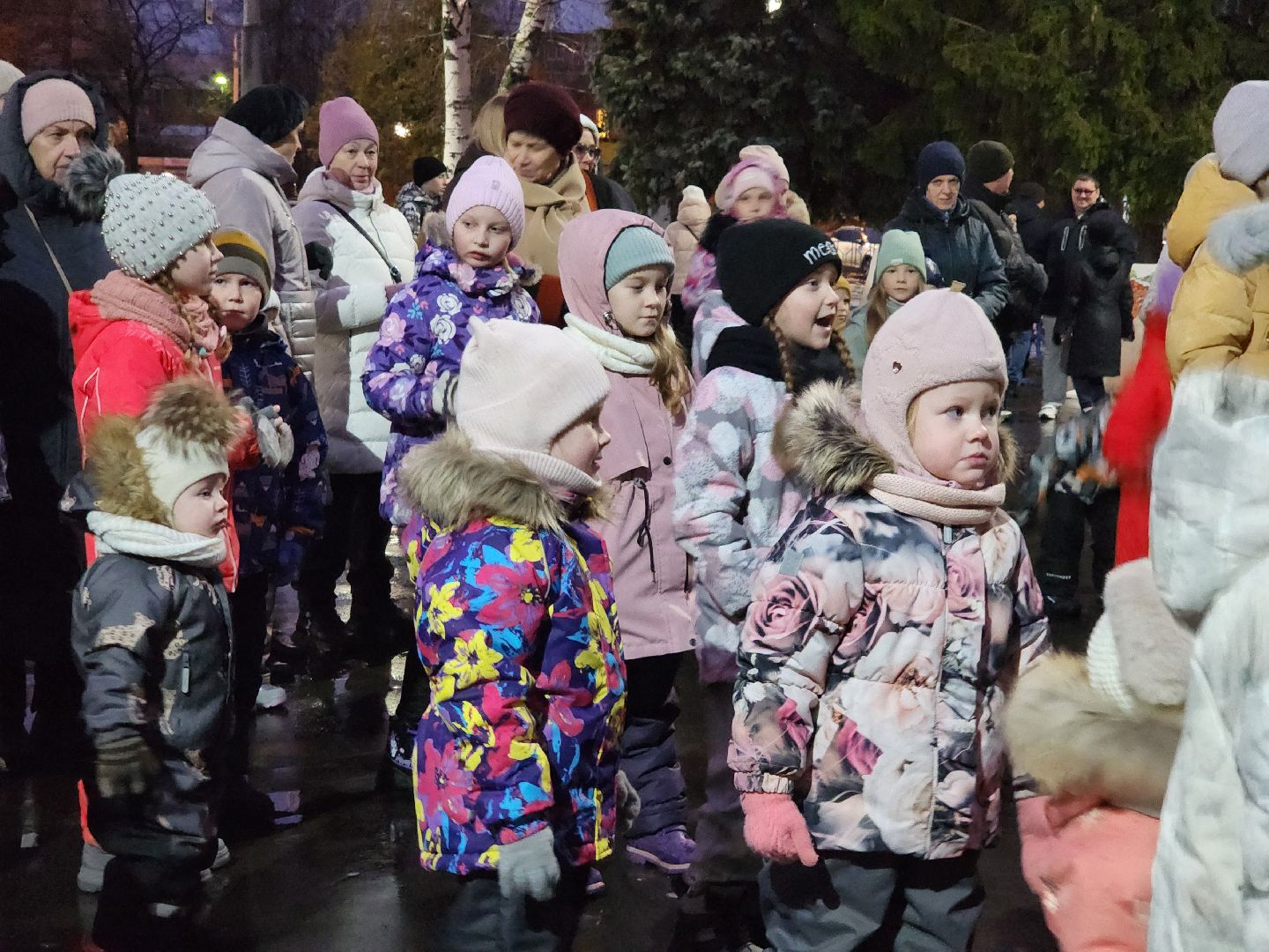луховицы, зима в подмосковье, вертикалка,