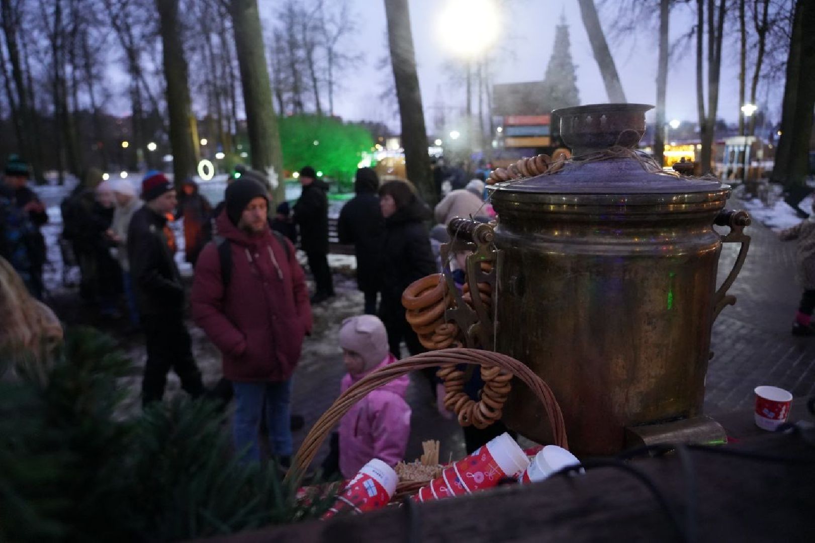 Сергиев Посад, Парки МО, Зима в Подмосковье, вертикалки,