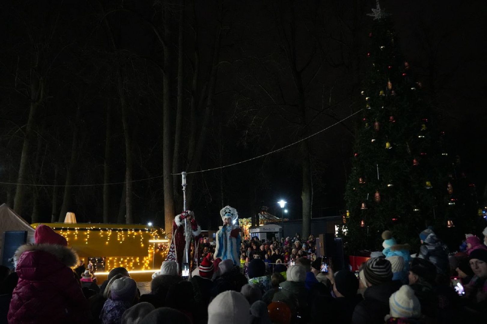 сергиев посад, зима в подмосковье, елка, вертикалки,