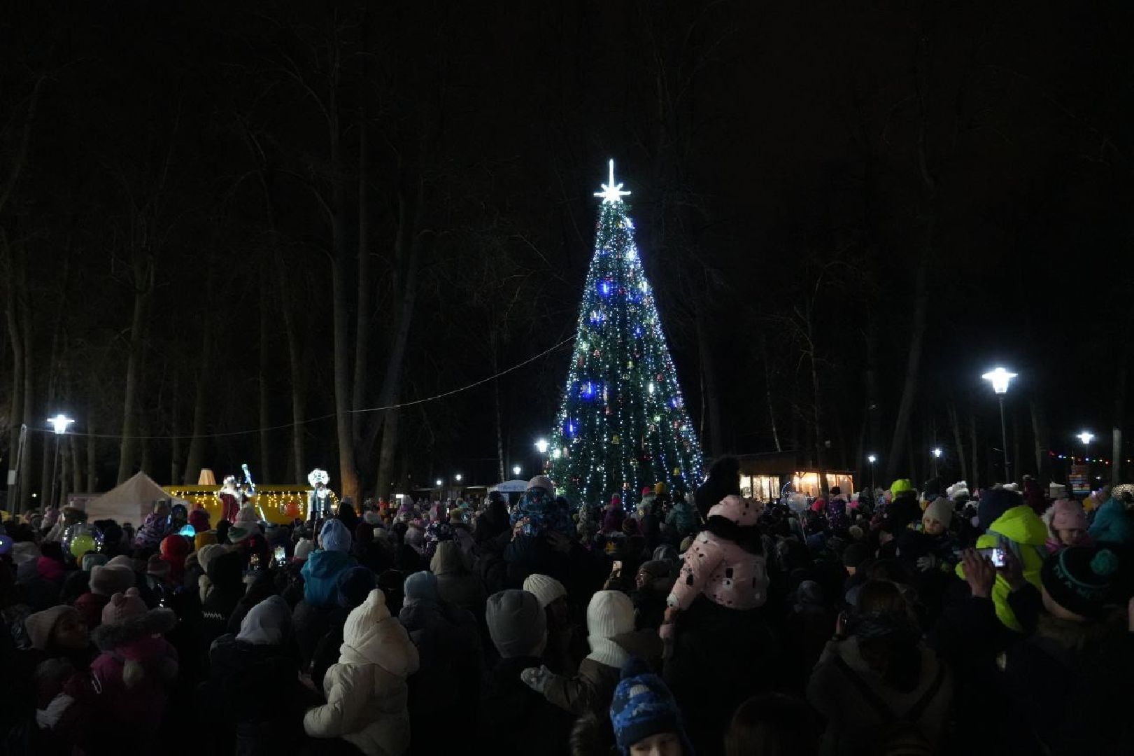 сергиев посад, зима в подмосковье, елка, вертикалки,