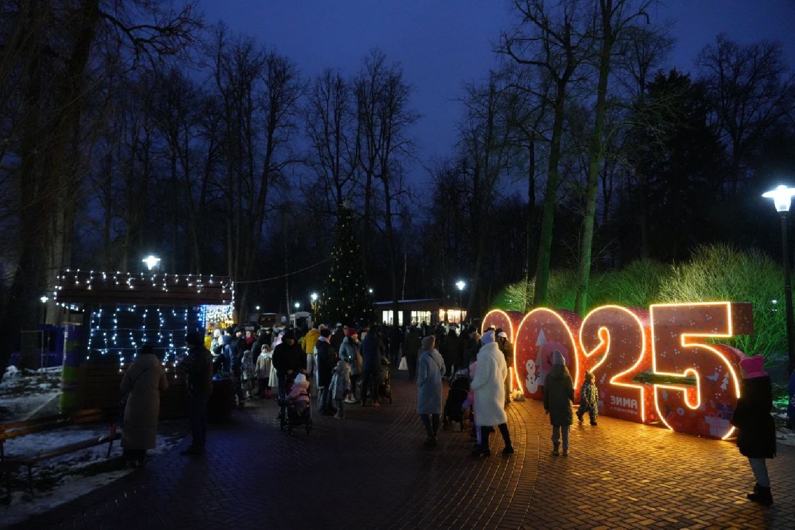 сергиев посад, зима в подмосковье, елка, вертикалки,