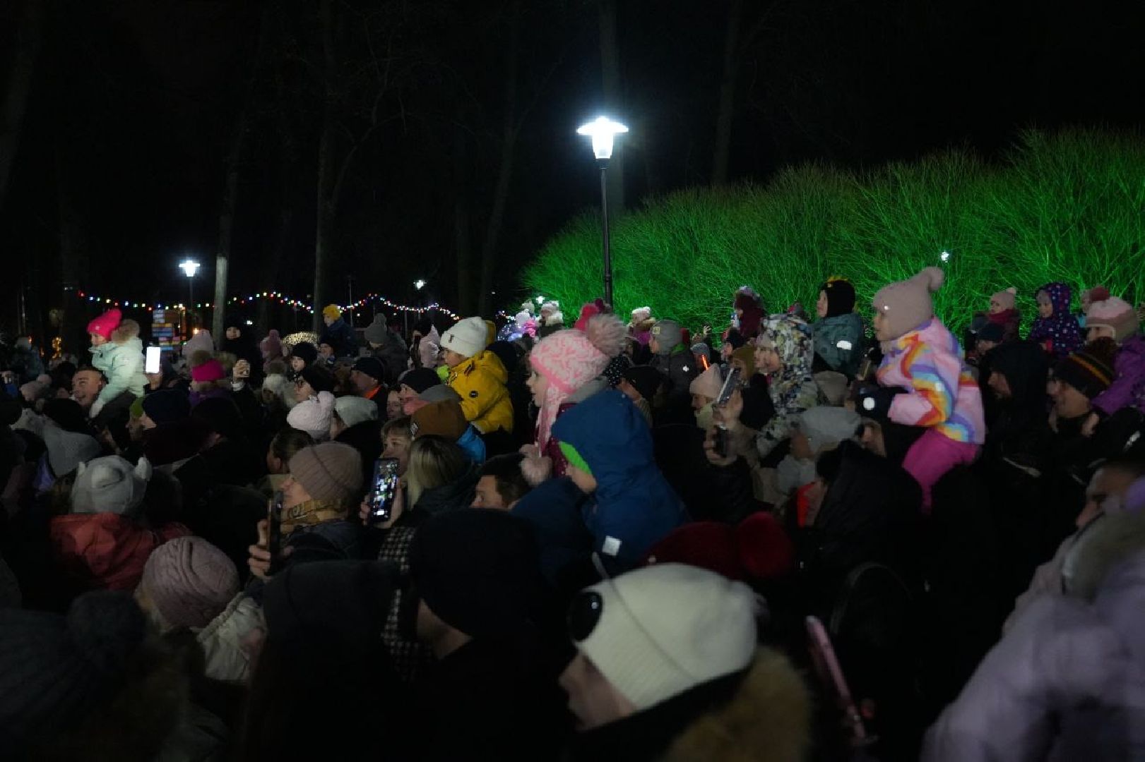 сергиев посад, зима в подмосковье, елка, вертикалки,