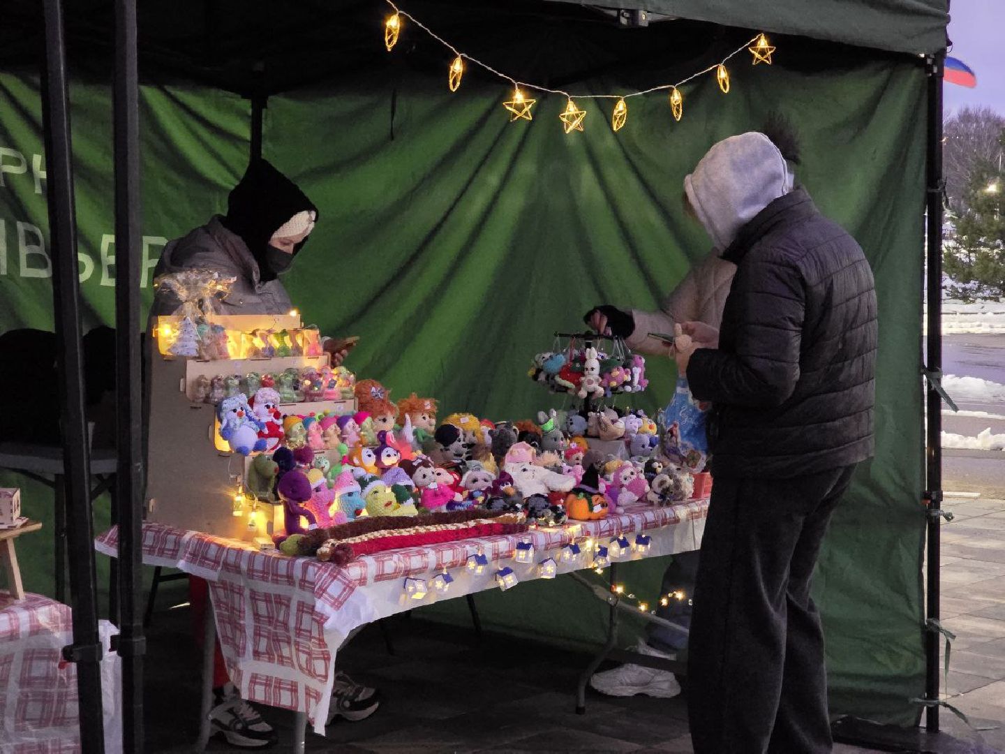 можайск, можайский городской округ, подмосковье, парк, городской парк, зимний сезон, новый год, открытие зимнего сезона, зима в подмосковье, вертикалки,