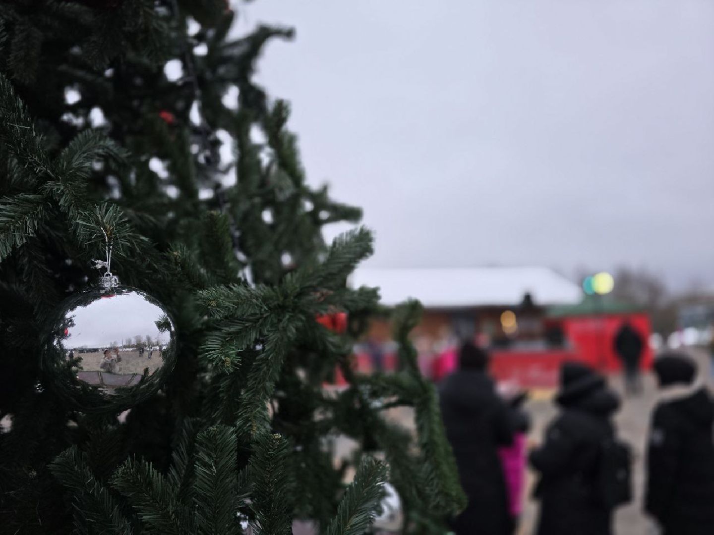 можайск, можайский городской округ, подмосковье, парк, городской парк, зимний сезон, новый год, открытие зимнего сезона, зима в подмосковье, вертикалки,
