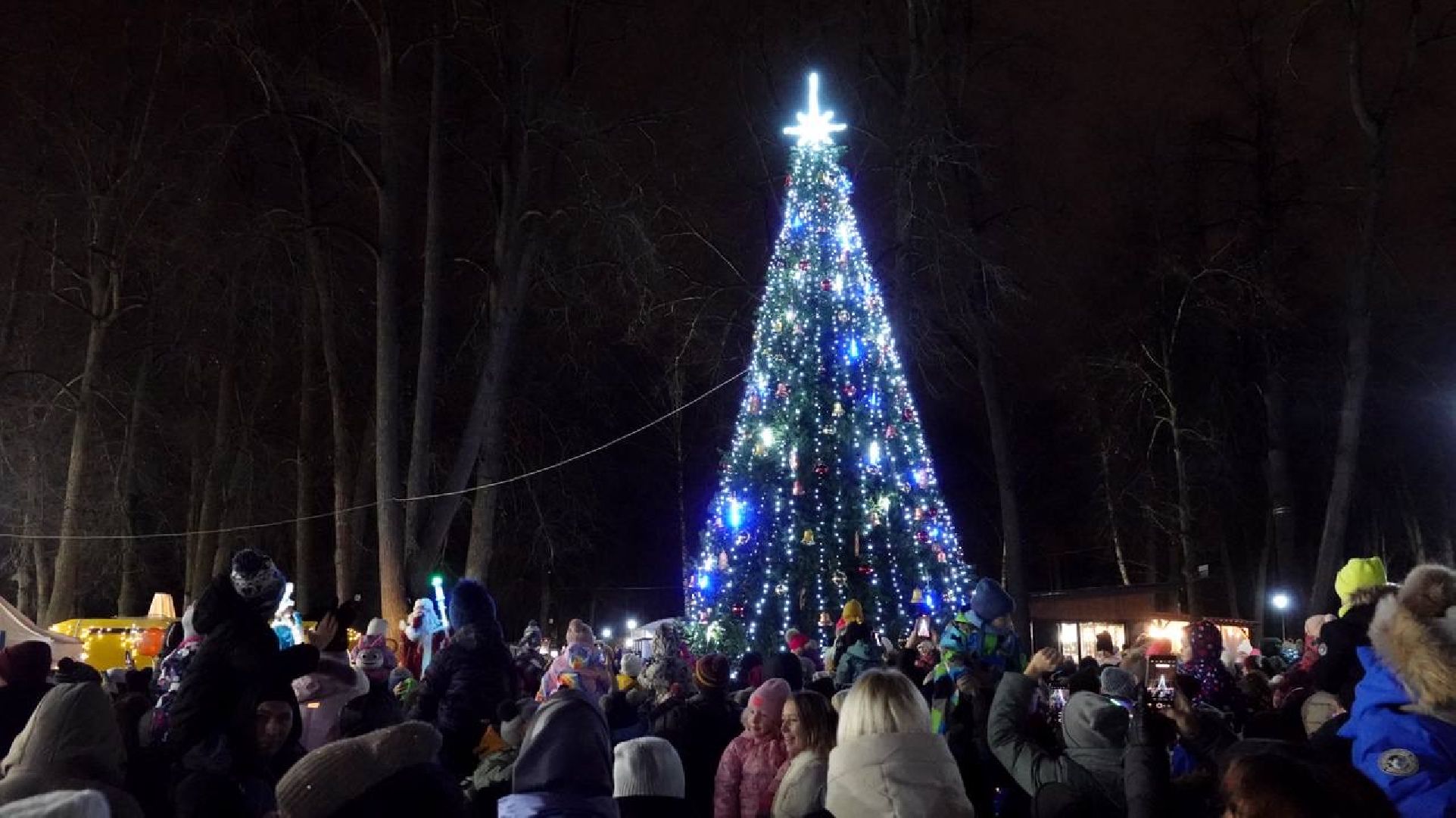 Парки Подмосковья, Зима в Подмосковье, Парки МО, Скитские пруды, Сергиев Посад, Зимний сезон, вертикалки,