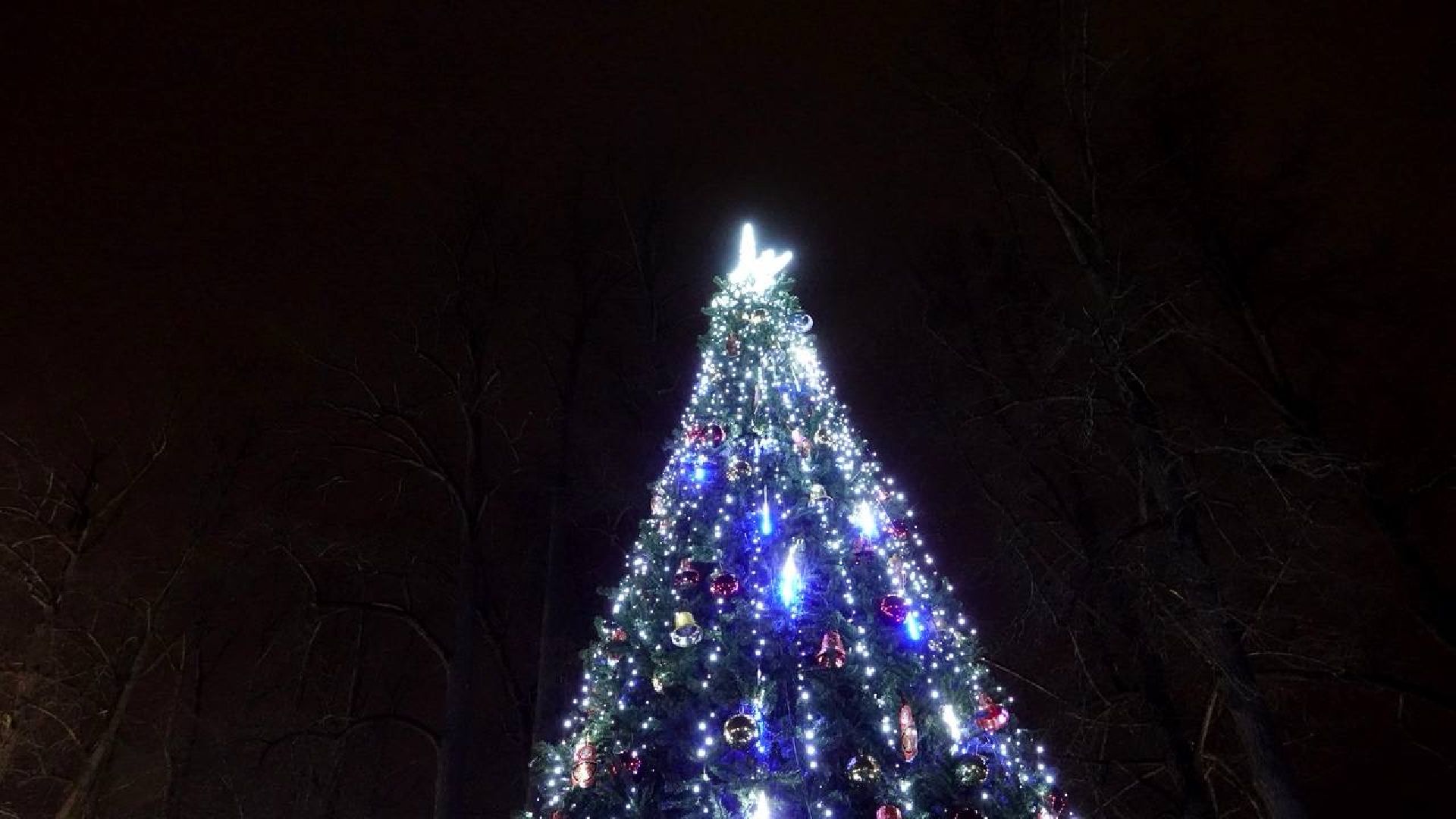 Парки Подмосковья, Зима в Подмосковье, Парки МО, Скитские пруды, Сергиев Посад, Зимний сезон, вертикалки,