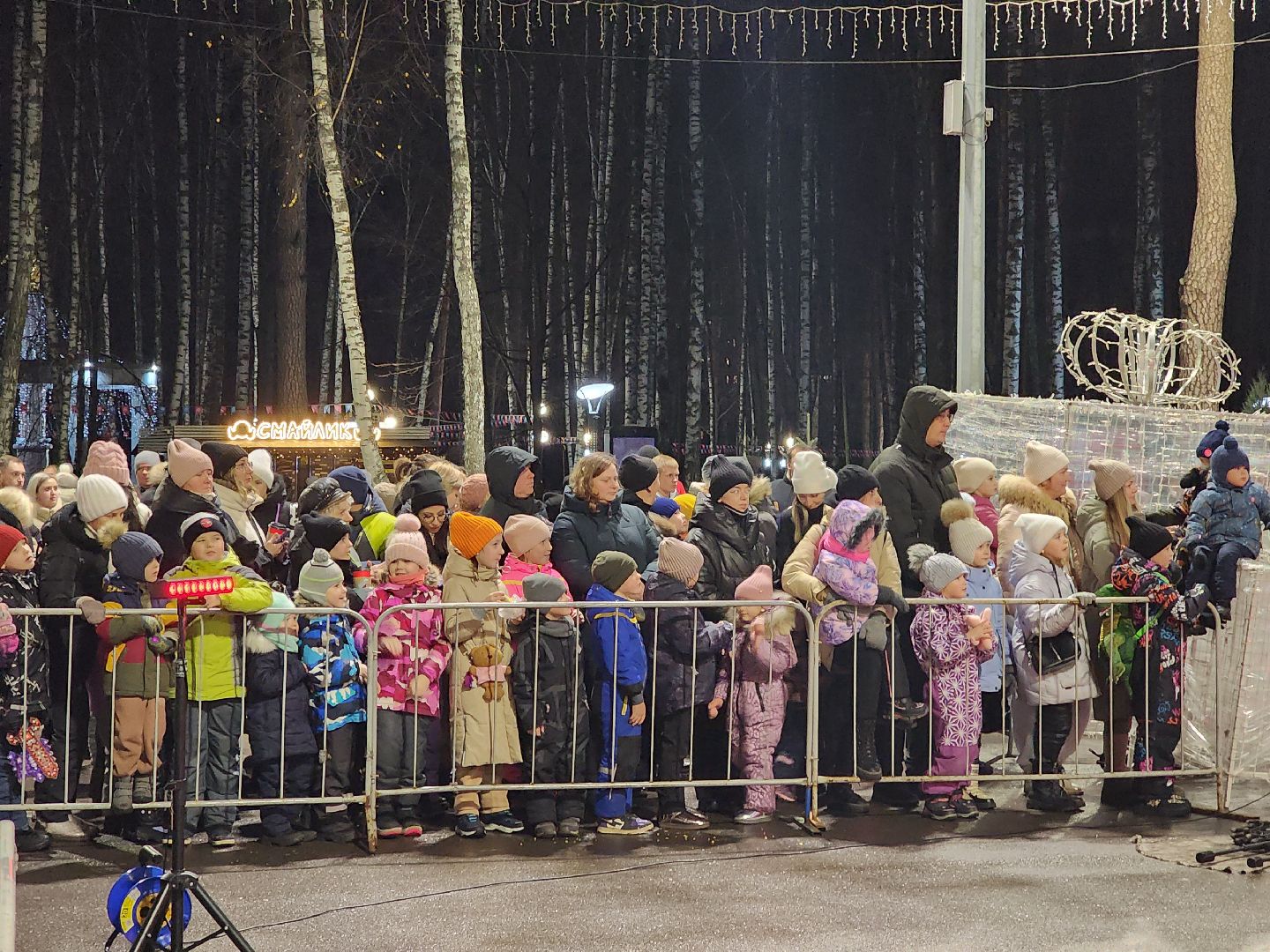 общество, жители, ногинск, парки подмосковья, новогодняя елка, огненное шоу, дети, вертикалки, зима в подмосковье,