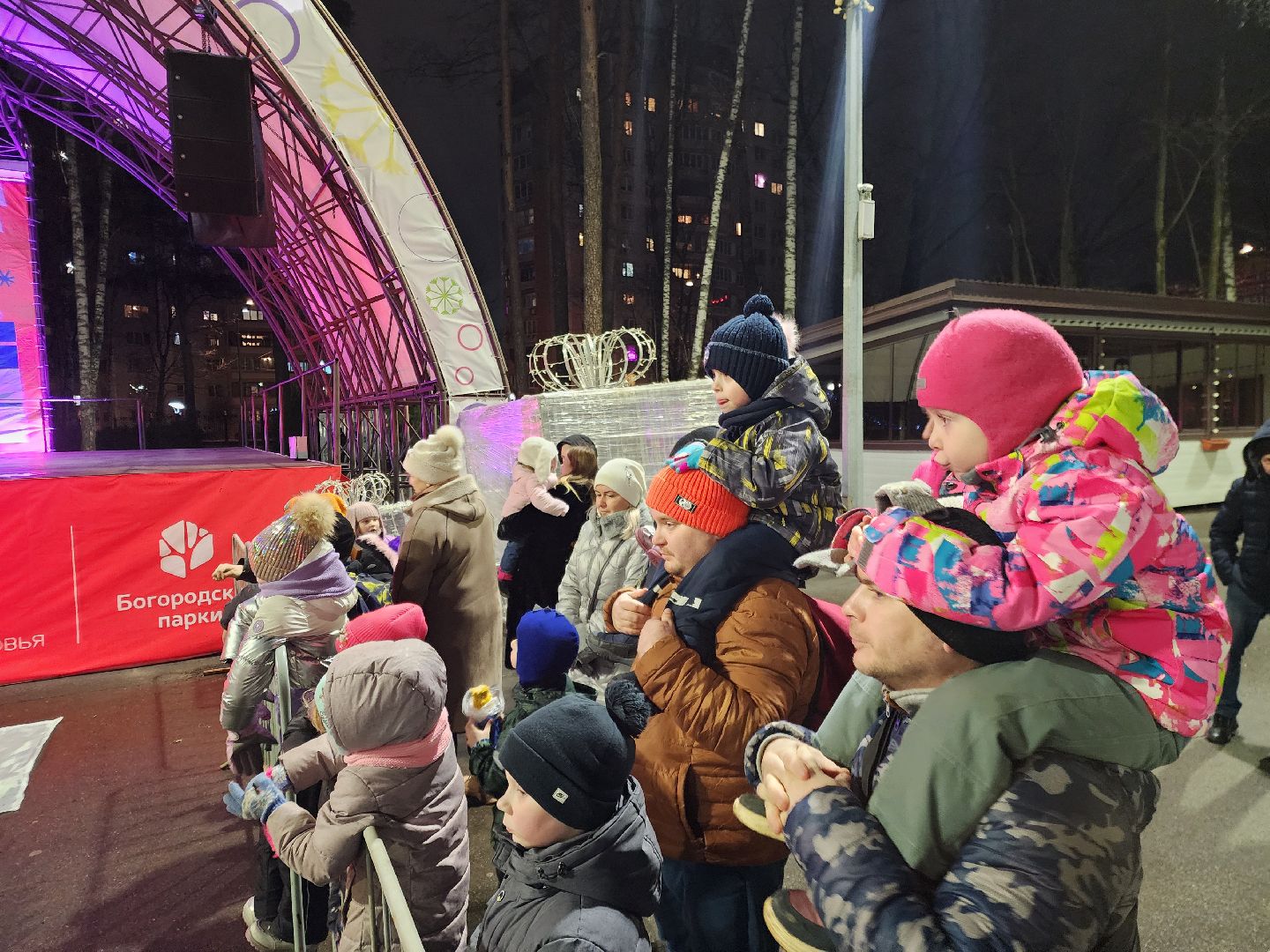 общество, жители, ногинск, парки подмосковья, новогодняя елка, огненное шоу, дети, вертикалки, зима в подмосковье,