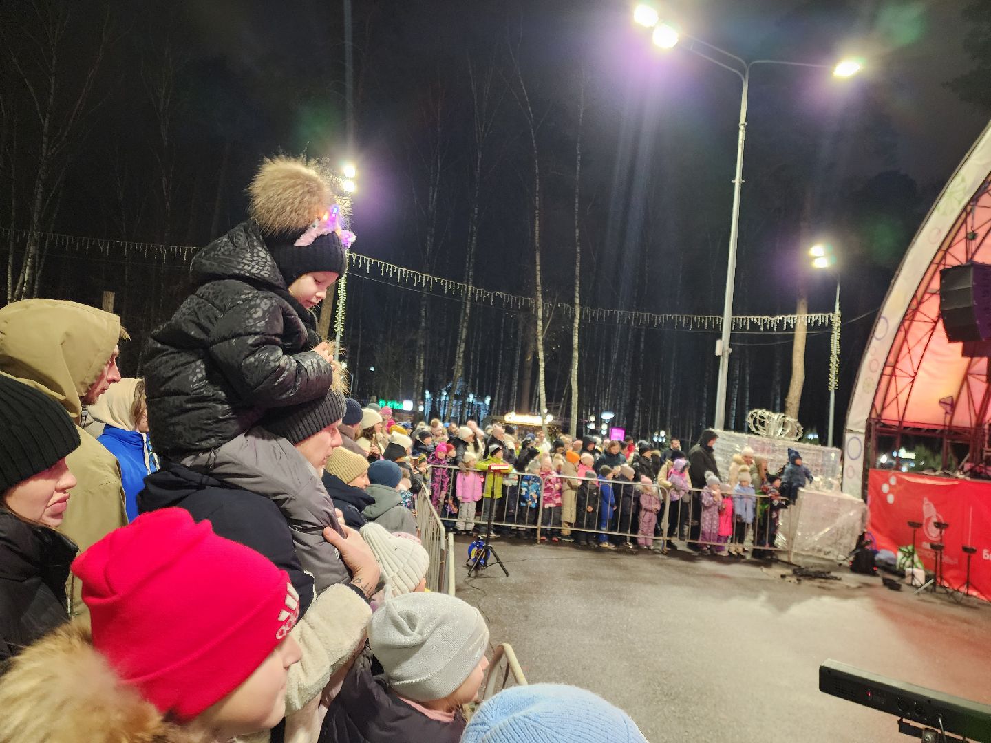 общество, жители, ногинск, парки подмосковья, новогодняя елка, огненное шоу, дети, вертикалки, зима в подмосковье,