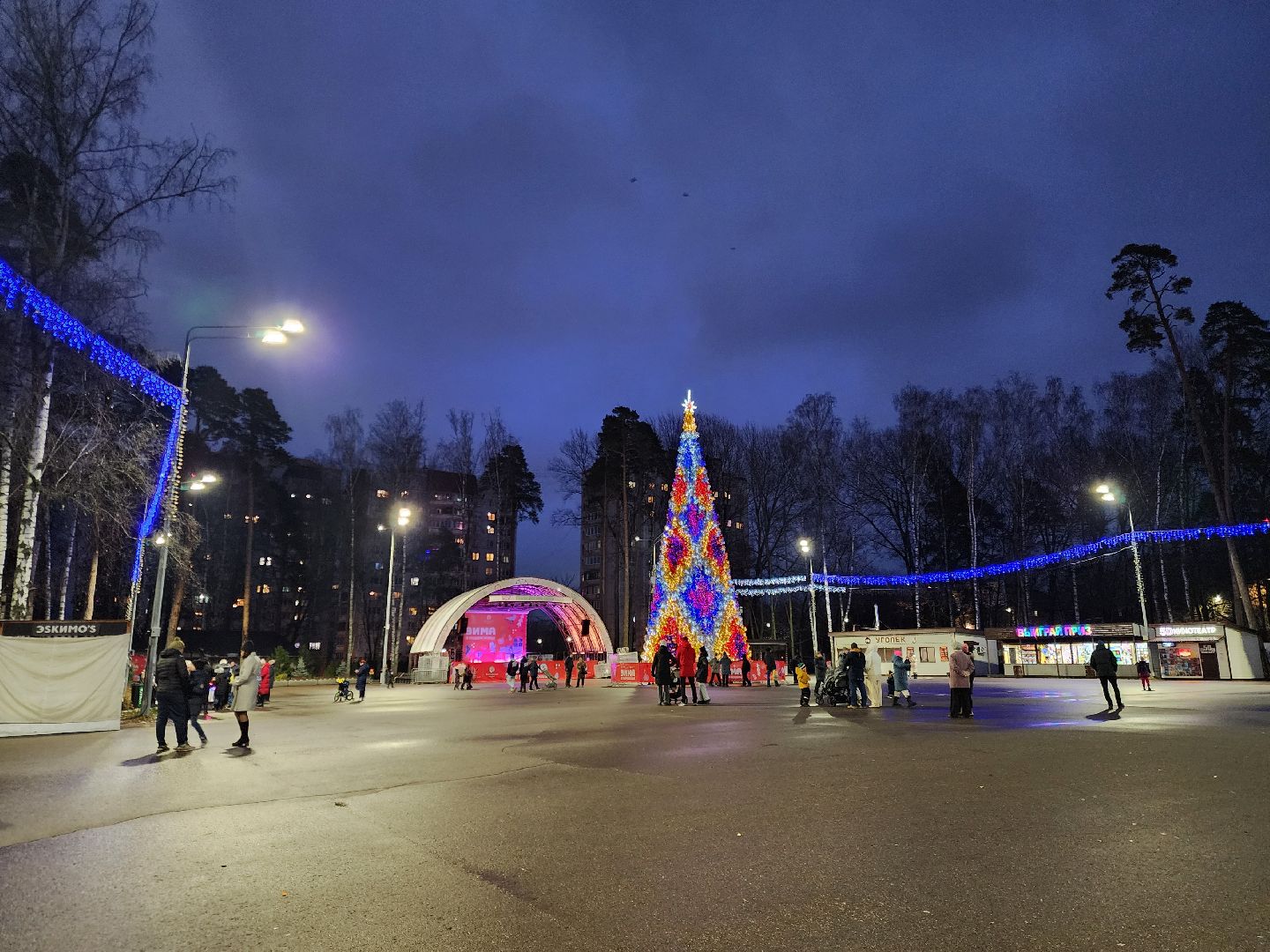 общество, жители, ногинск, парки подмосковья, новогодняя елка, огненное шоу, дети, вертикалки, зима в подмосковье,