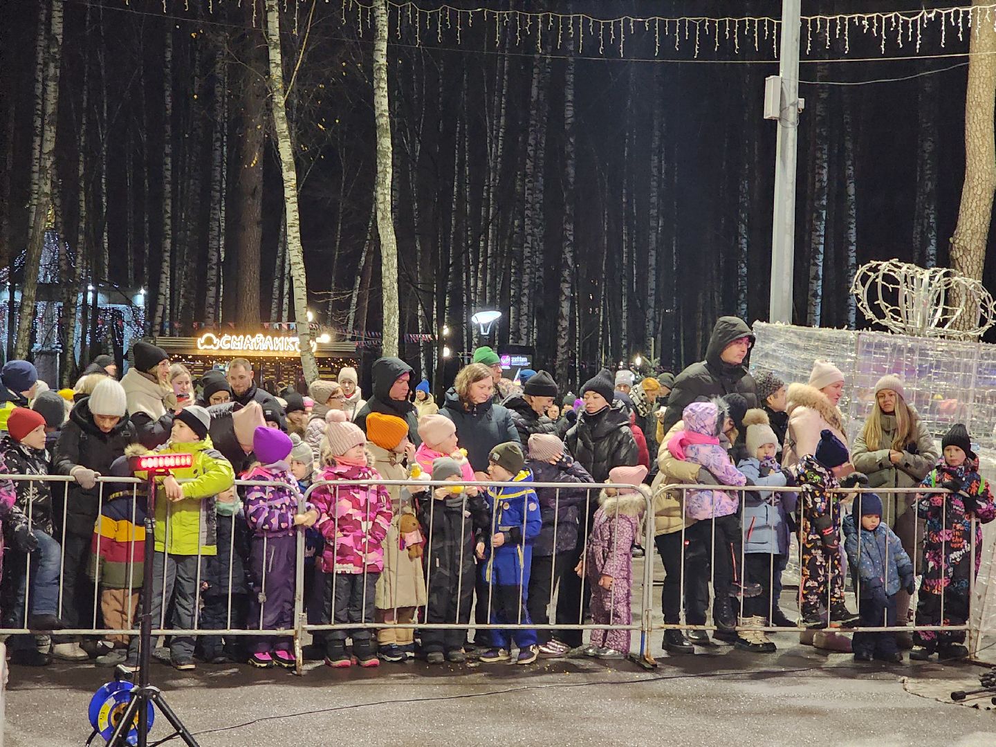 общество, жители, ногинск, парки подмосковья, новогодняя елка, огненное шоу, дети, вертикалки, зима в подмосковье,