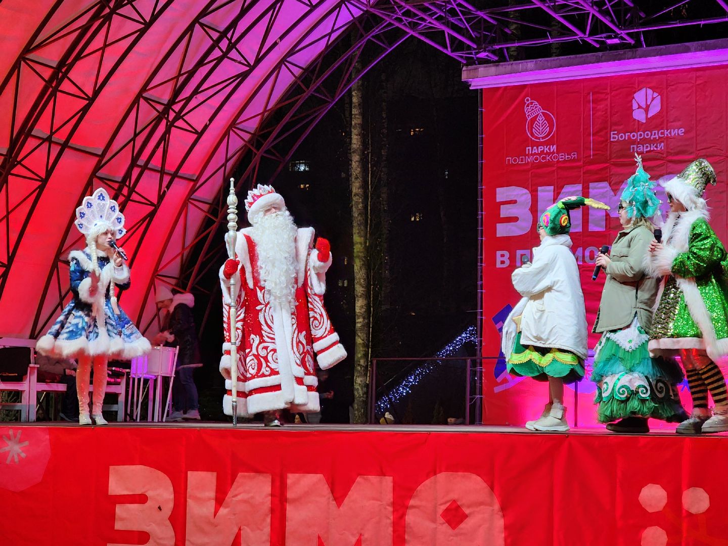 общество, жители, ногинск, парки подмосковья, новогодняя елка, огненное шоу, дети, вертикалки, зима в подмосковье,