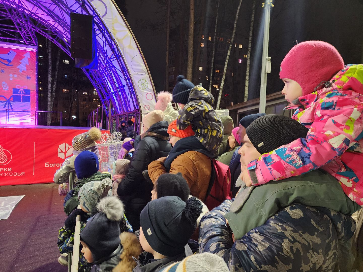 общество, жители, ногинск, парки подмосковья, новогодняя елка, огненное шоу, дети, вертикалки, зима в подмосковье,