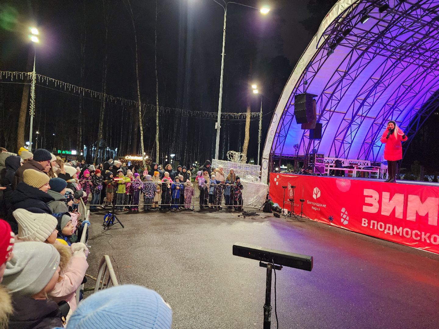 общество, жители, ногинск, парки подмосковья, новогодняя елка, огненное шоу, дети, вертикалки, зима в подмосковье,