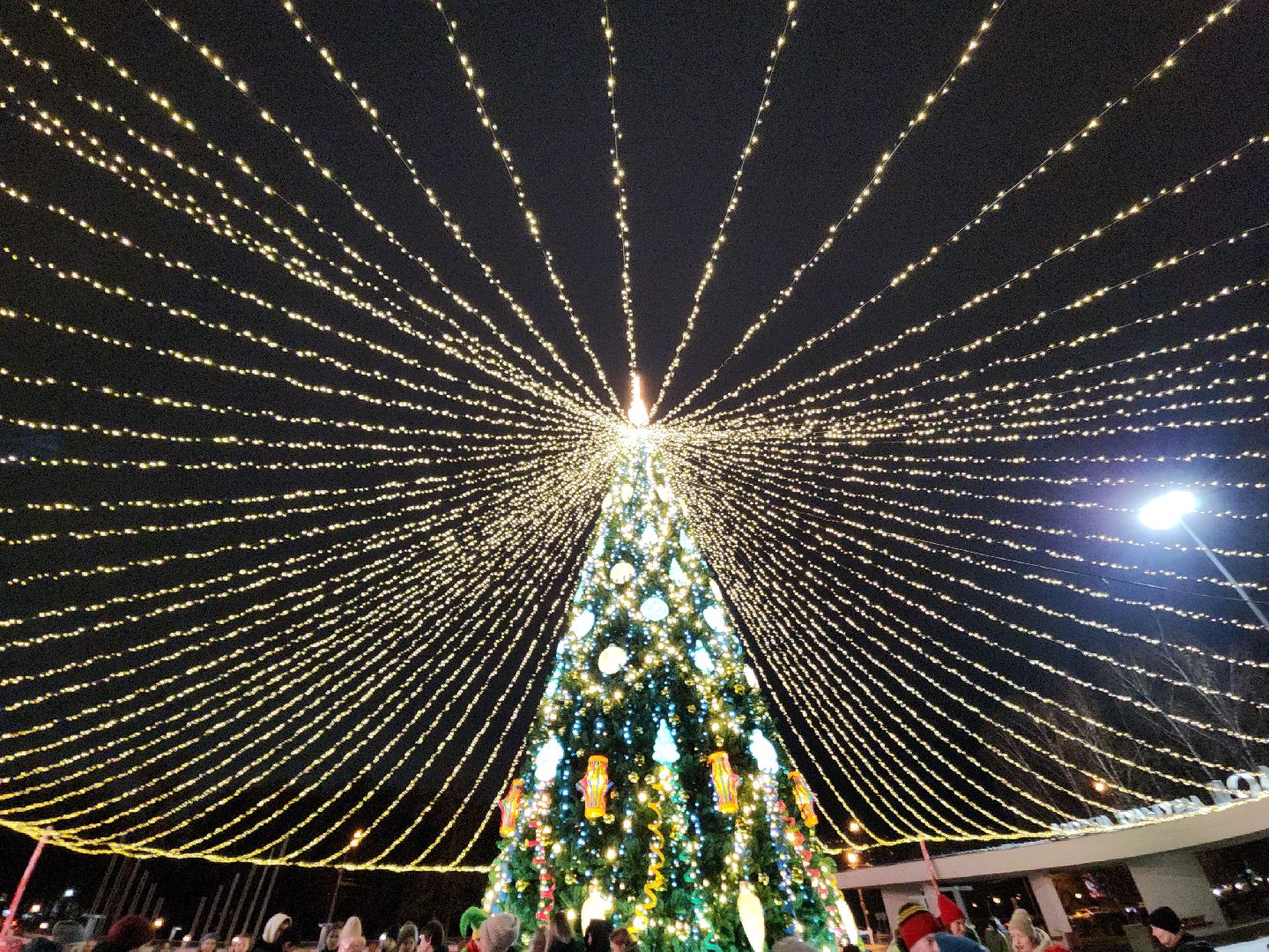 зима в подмосковье, красногорск, ёлка,