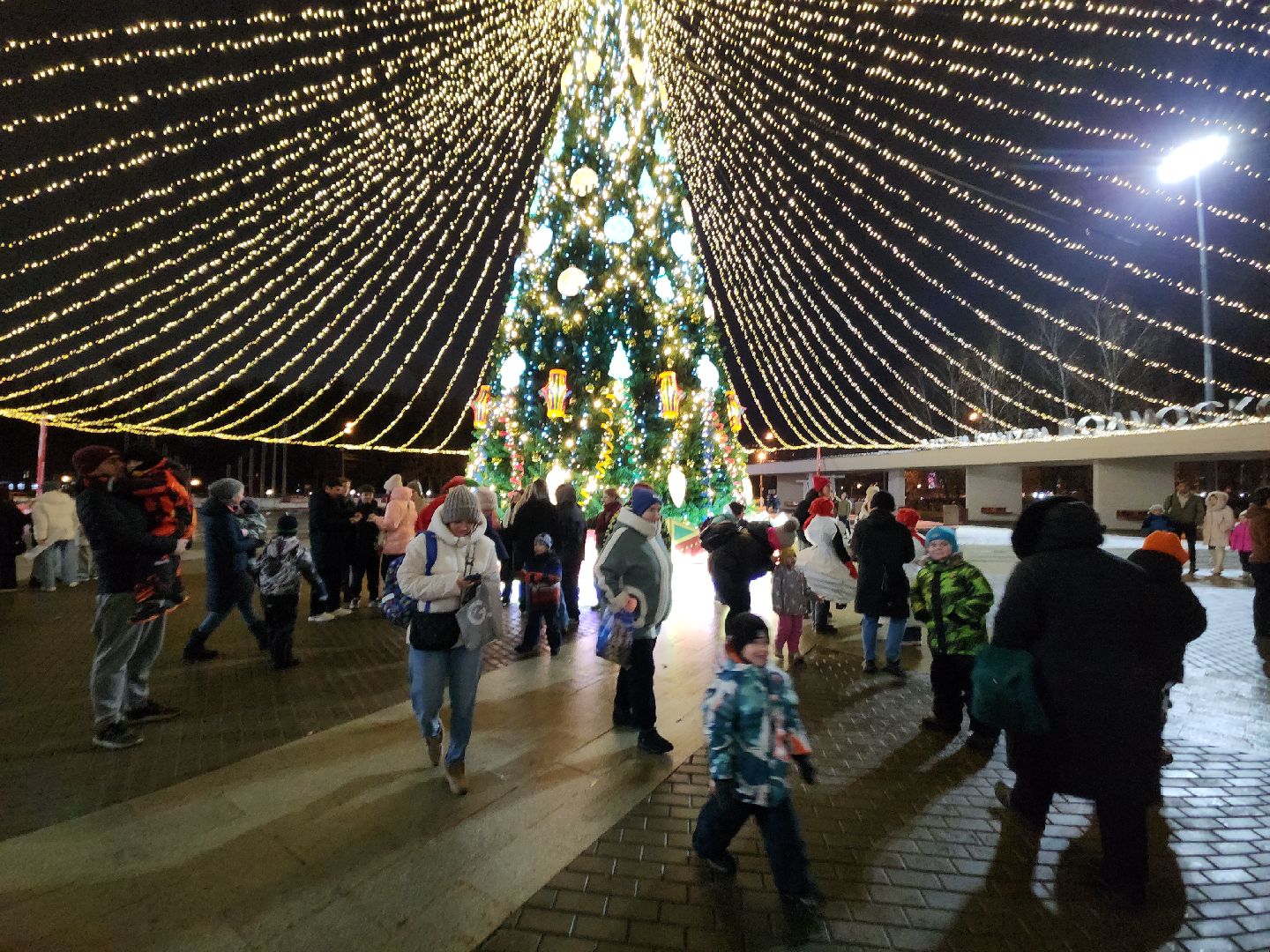 зима в подмосковье, красногорск, ёлка,