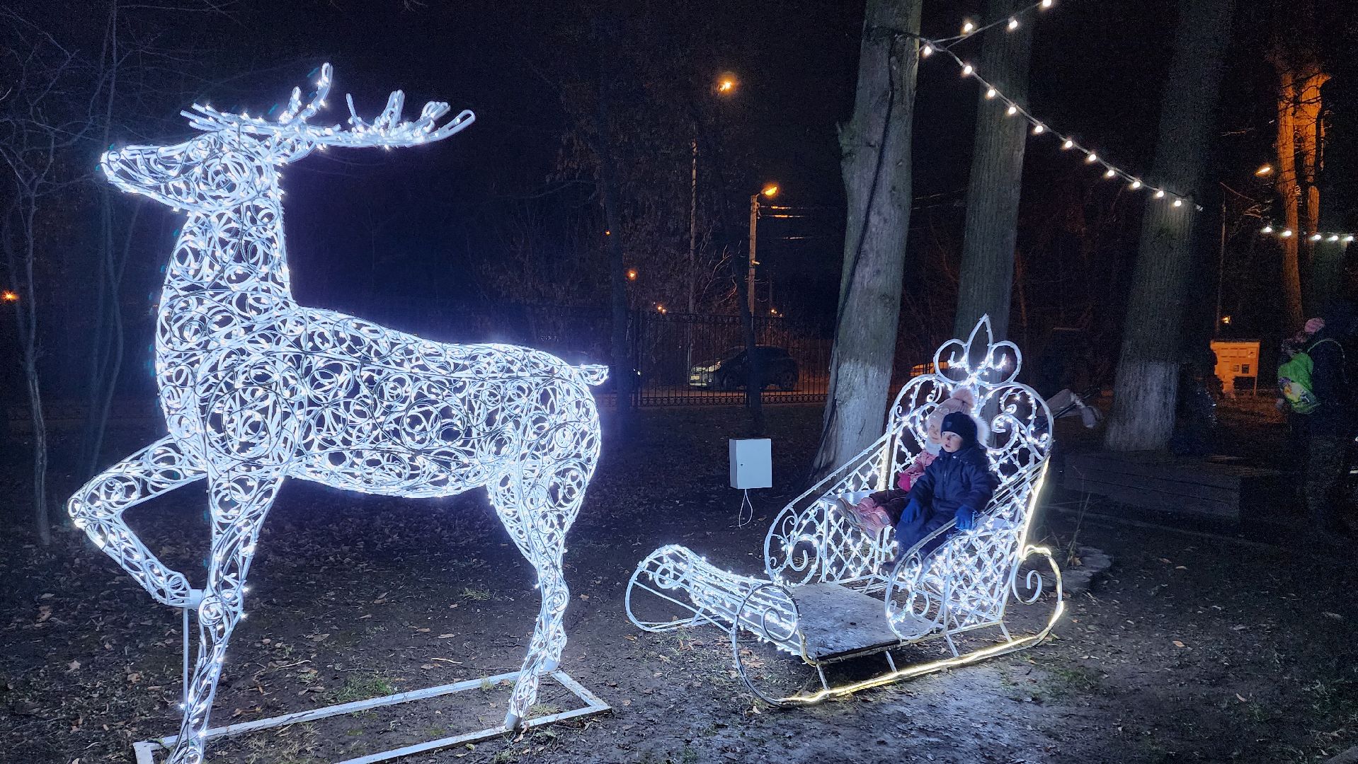 зима в парках, зима в подмосковье, Домодедово, Добровольческое движение, Подмосковье, добровольцы, первый день зимы, вертикалки,