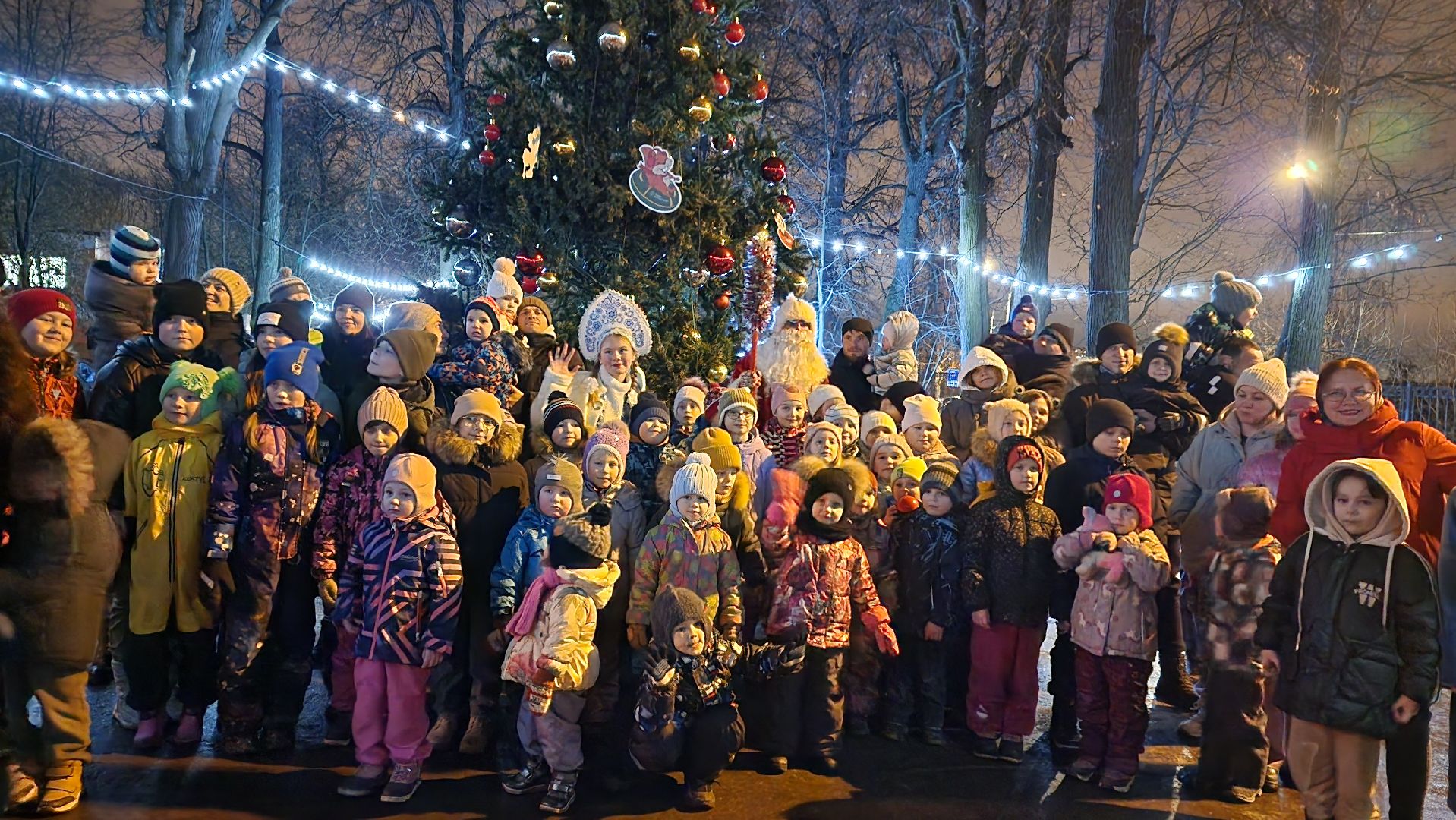 зима в парках, зима в подмосковье, Домодедово, Добровольческое движение, Подмосковье, добровольцы, первый день зимы, вертикалки,