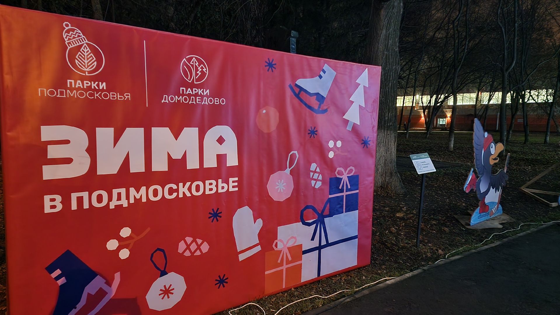 зима в парках, зима в подмосковье, Домодедово, Добровольческое движение, Подмосковье, добровольцы, первый день зимы, вертикалки,