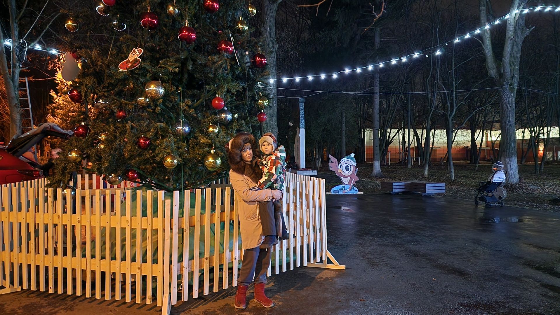 зима в парках, зима в подмосковье, Домодедово, Добровольческое движение, Подмосковье, добровольцы, первый день зимы, вертикалки,
