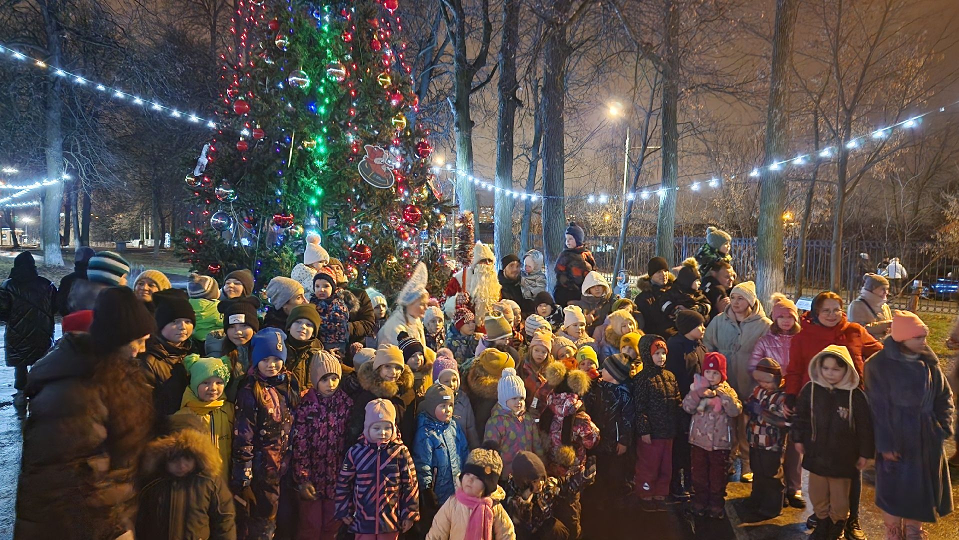 зима в парках, зима в подмосковье, Домодедово, Добровольческое движение, Подмосковье, добровольцы, первый день зимы, вертикалки,