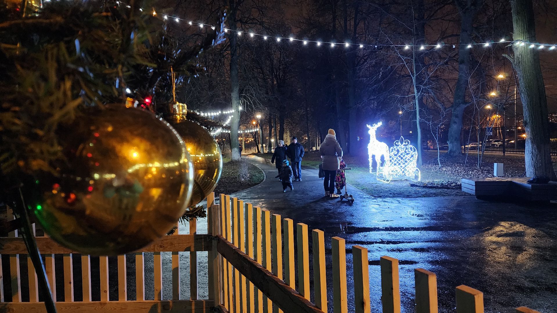 зима в парках, зима в подмосковье, Домодедово, Добровольческое движение, Подмосковье, добровольцы, первый день зимы, вертикалки,