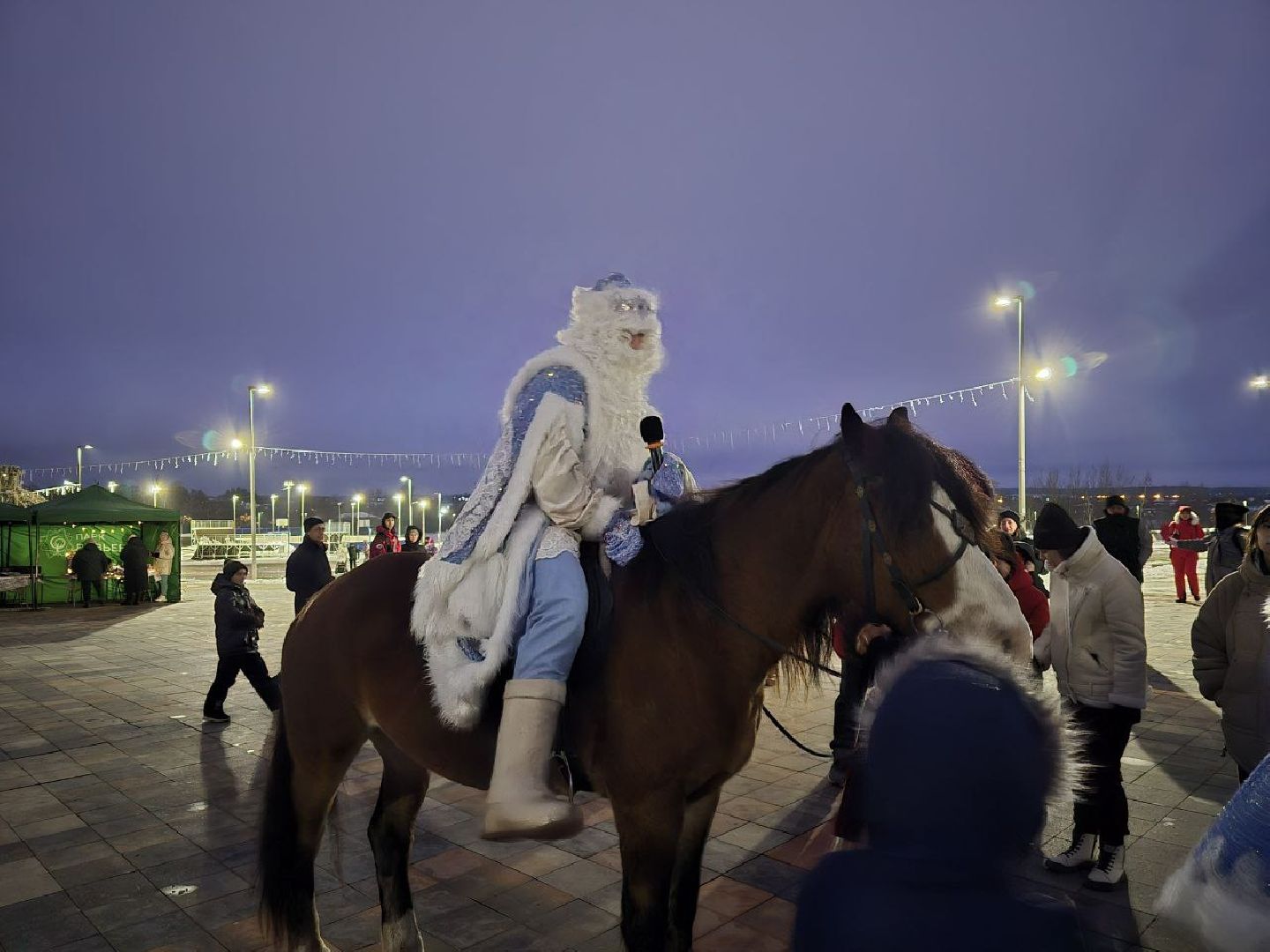 можайск, можайский городской округ, подмосковье, новый год, зимний сезон, парк, городской парк, открытие зимнего сезона, дед мороз, снегурочка, праздник, зима в подмосковье, вертикалки,