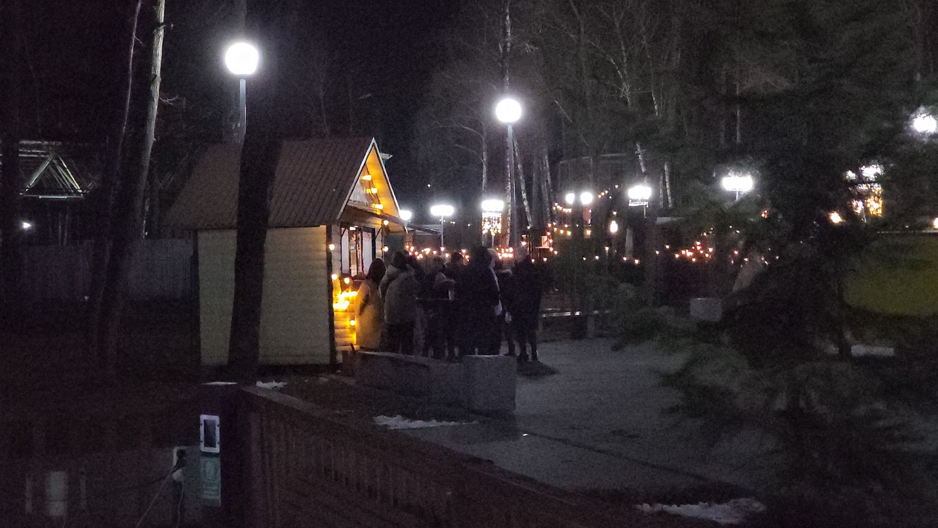 кашира, парк, открытие зимнего сезона, елочная игрушка, вертикалки, зима в подмосковье,