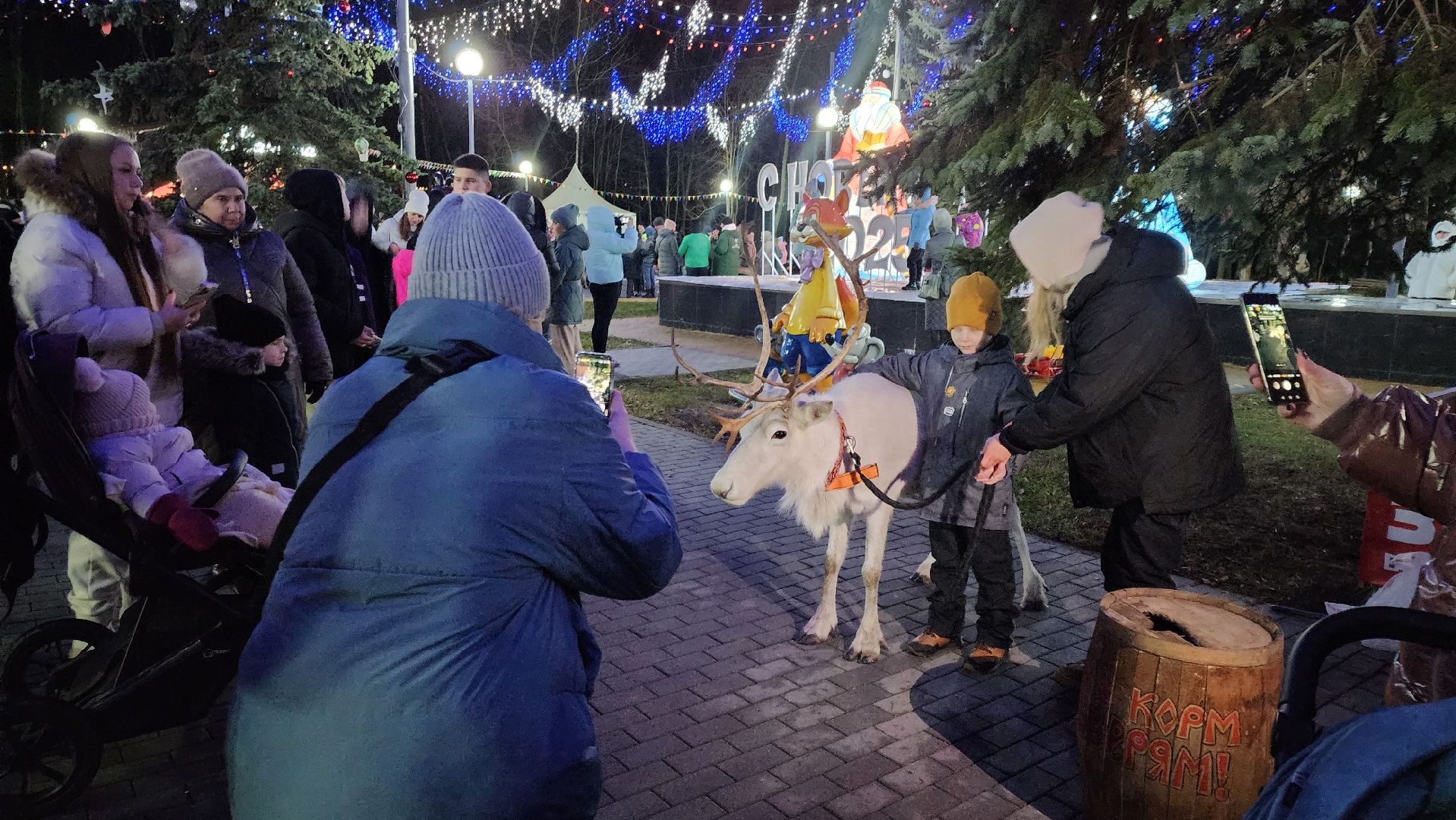 кашира, парк, открытие зимнего сезона, елочная игрушка, вертикалки, зима в подмосковье,