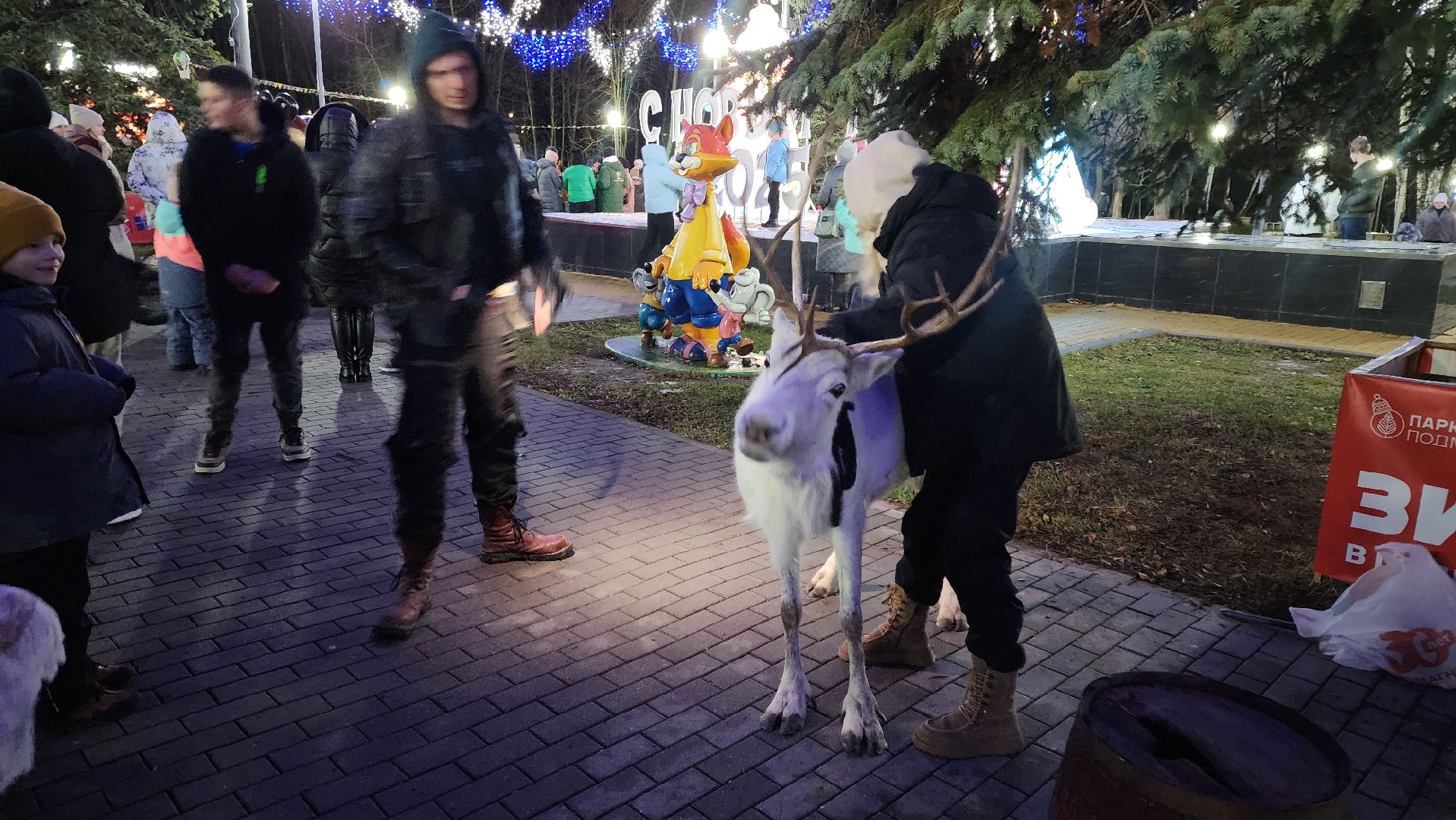 кашира, парк, открытие зимнего сезона, елочная игрушка, вертикалки, зима в подмосковье,