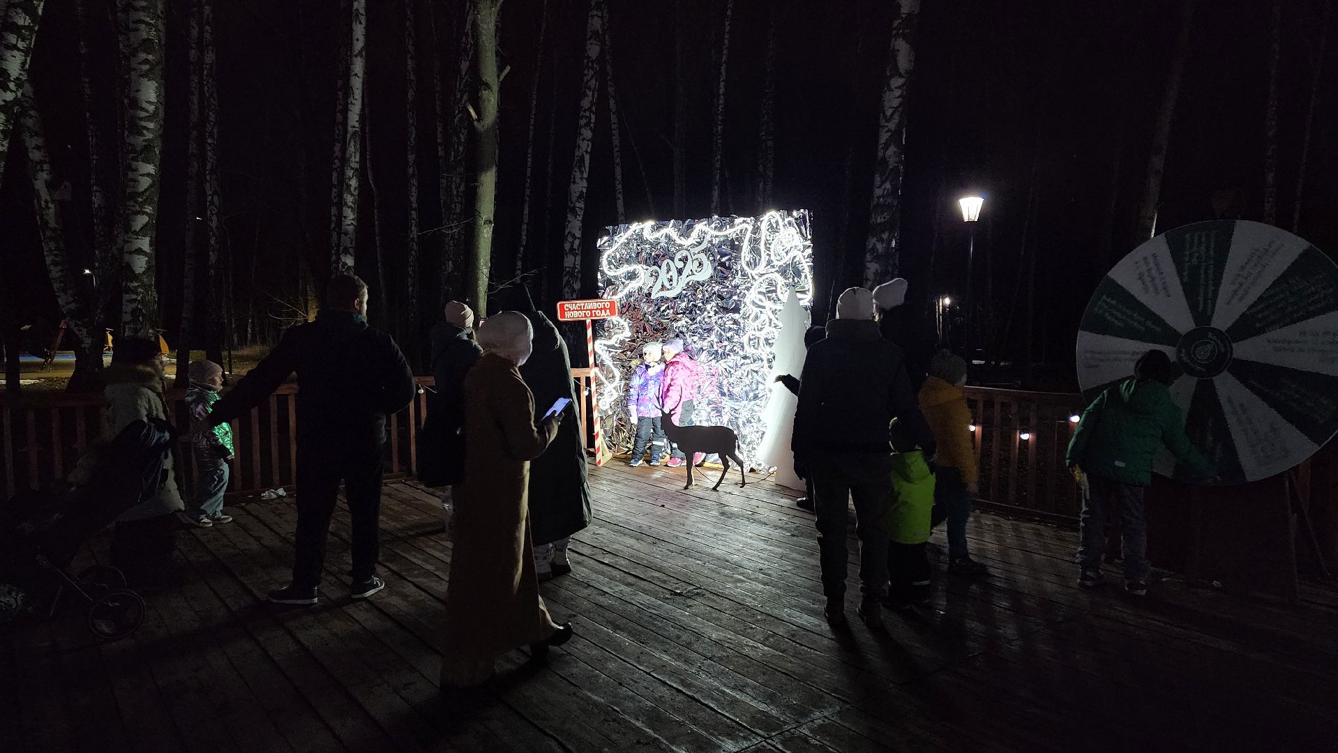 кашира, парк, открытие зимнего сезона, елочная игрушка, вертикалки, зима в подмосковье,