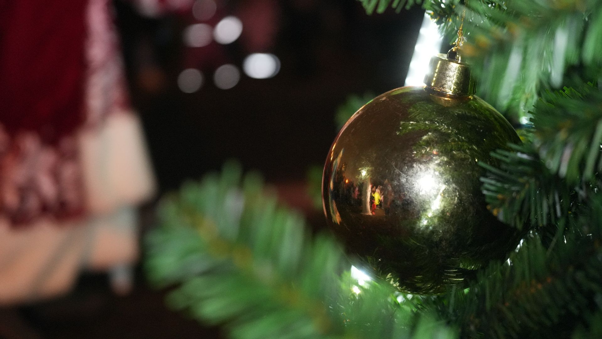 вертикалка, зима в подмосковье, елка,