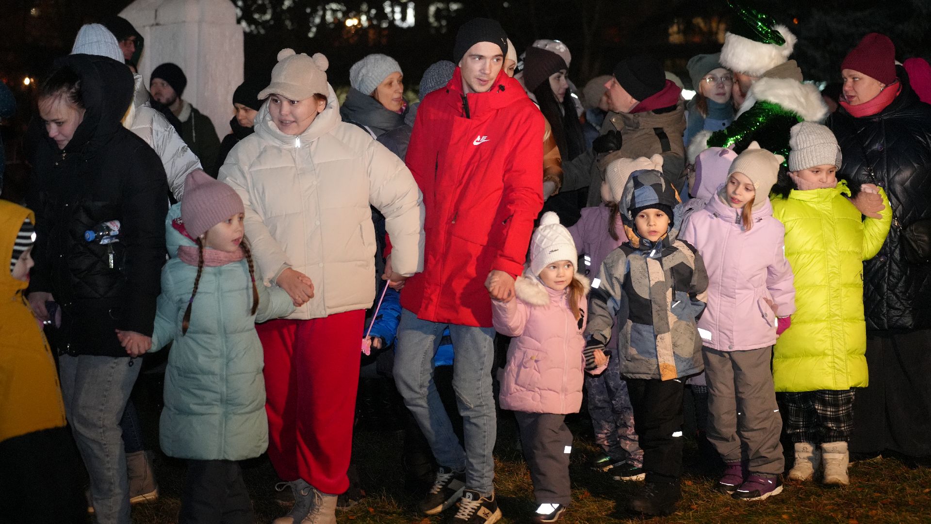 вертикалка, зима в подмосковье, елка,