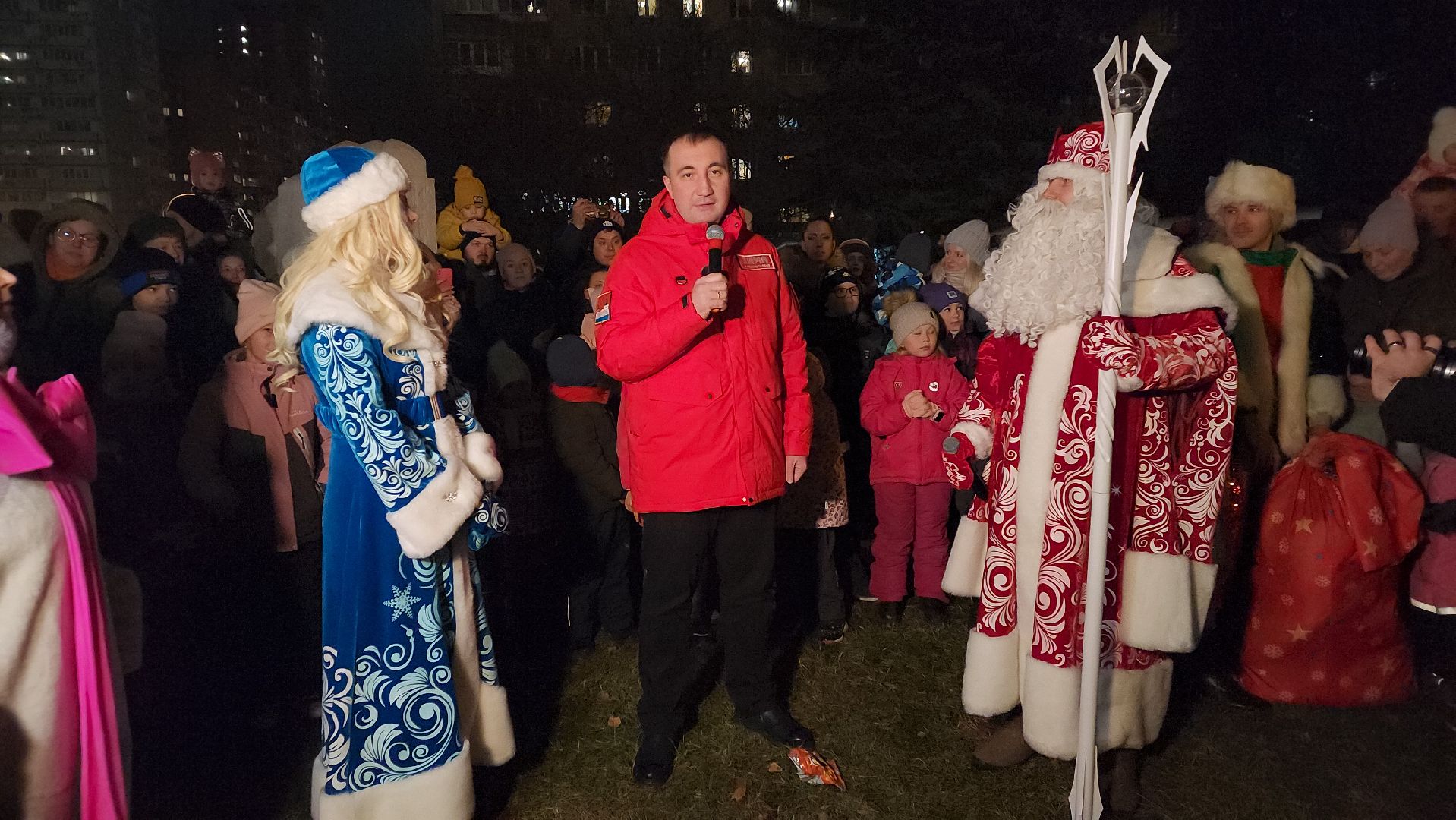 вертикалка, зима в подмосковье, елка,