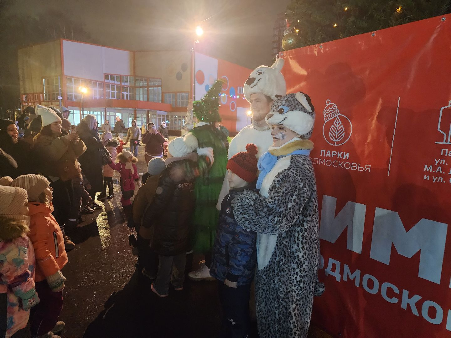 долгопрудный, зима, праздник, Зима в Подмосковье, вертикалки,