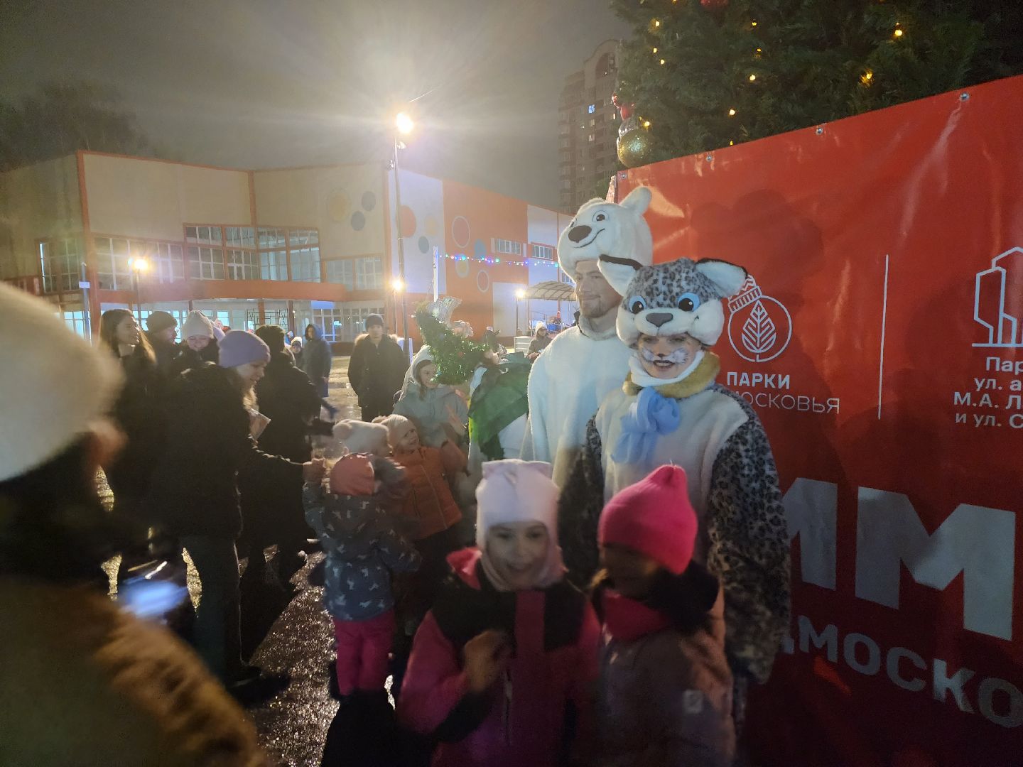 долгопрудный, зима, праздник, Зима в Подмосковье, вертикалки,