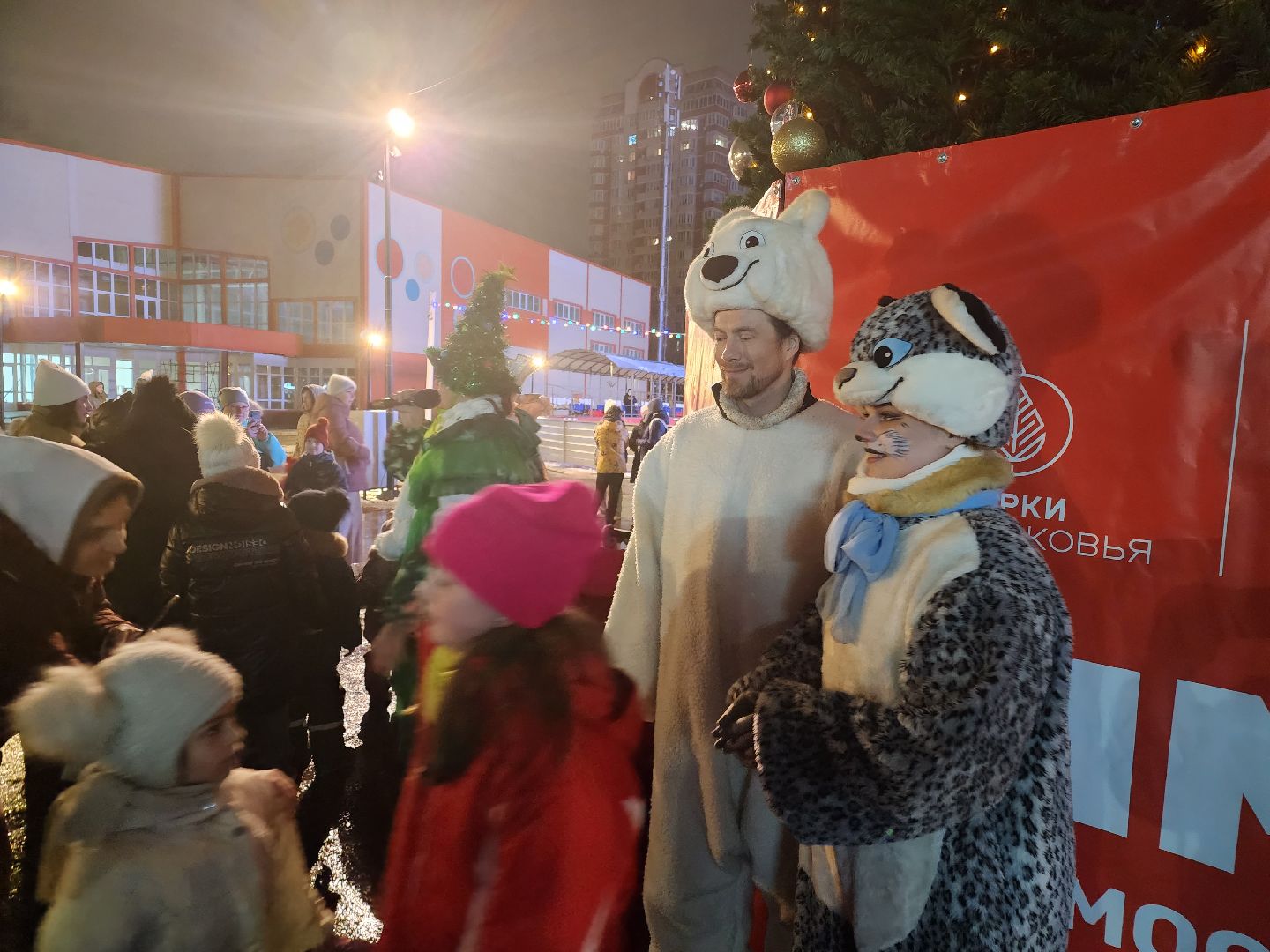 долгопрудный, зима, праздник, Зима в Подмосковье, вертикалки,