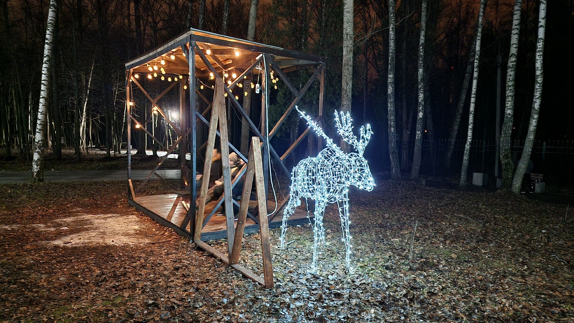 кашира, парк, открытие зимнего сезона, новогодняя елка, вертикалки,зима в подмосковье,