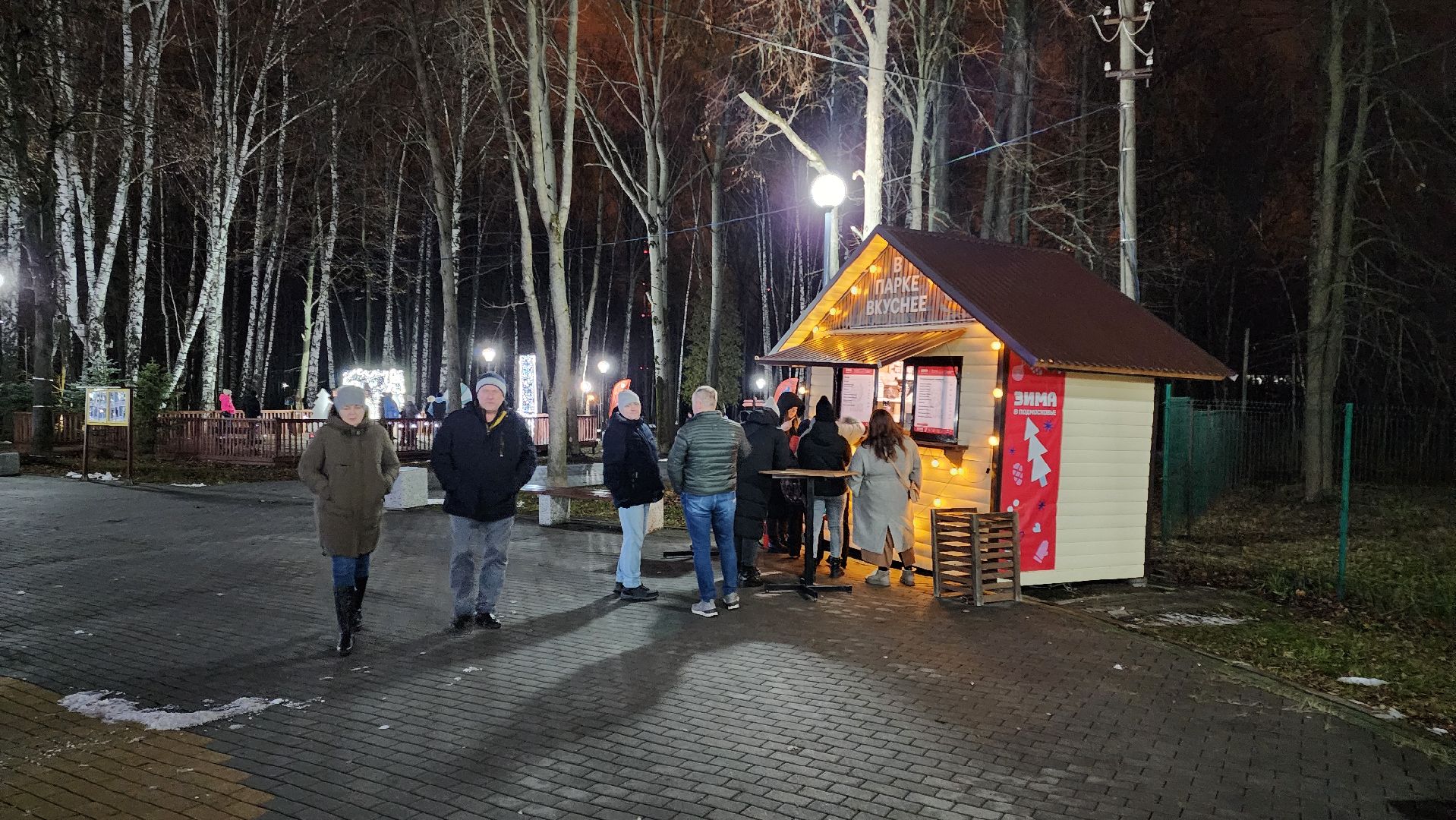 кашира, парк, открытие зимнего сезона, новогодняя елка, вертикалки,зима в подмосковье,