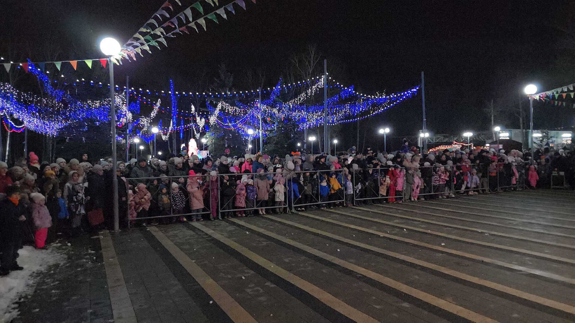 кашира, парк, открытие зимнего сезона, новогодняя елка, вертикалки,зима в подмосковье,