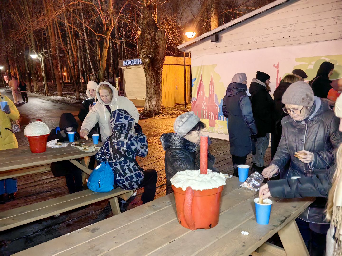 парк, новогодняя елка, гирлянды, дед мороз и снегурочка, вертикалки,