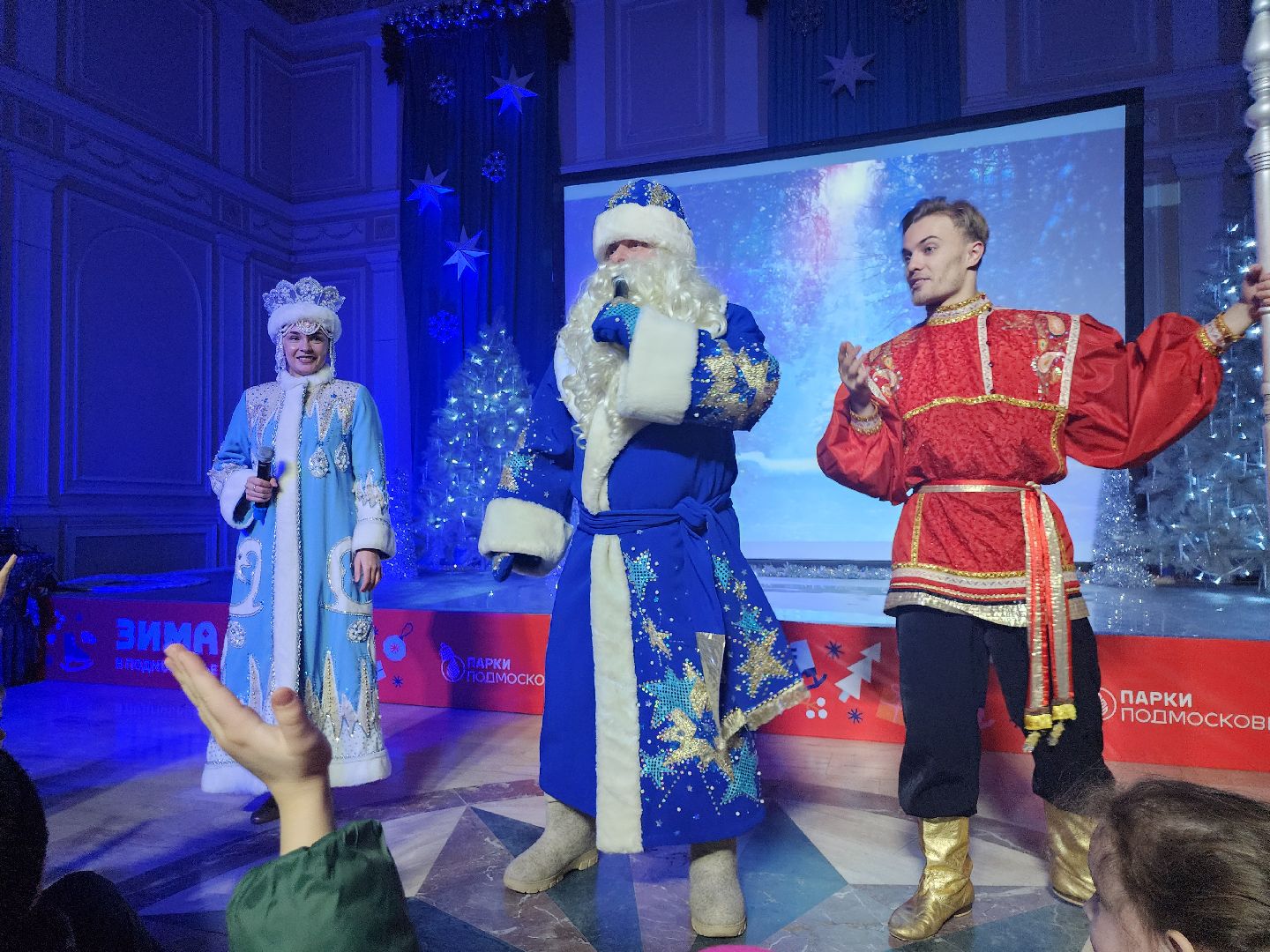 серпухов, подмосковье, дед мороз, зима в подмосковье, почта деда мороза, вертикалки,