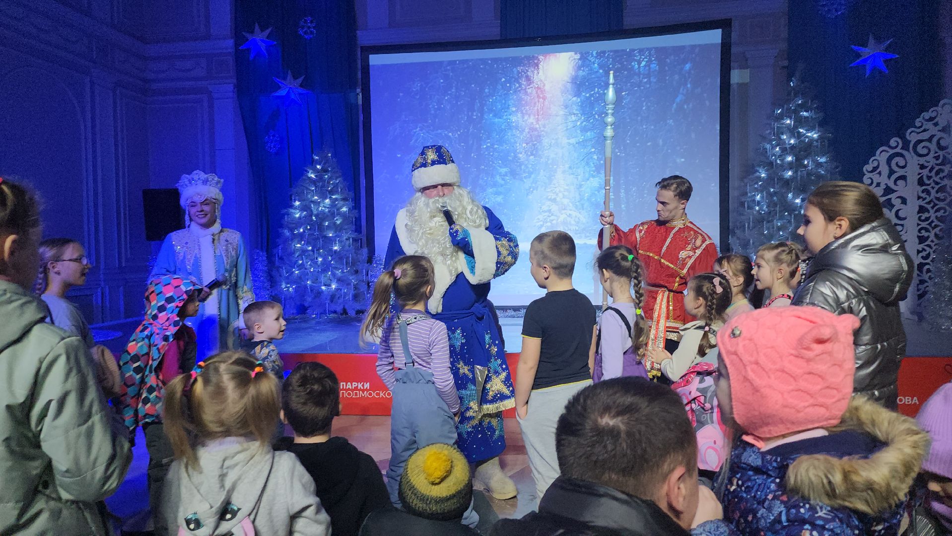 серпухов, подмосковье, дед мороз, зима в подмосковье, почта деда мороза, вертикалки,